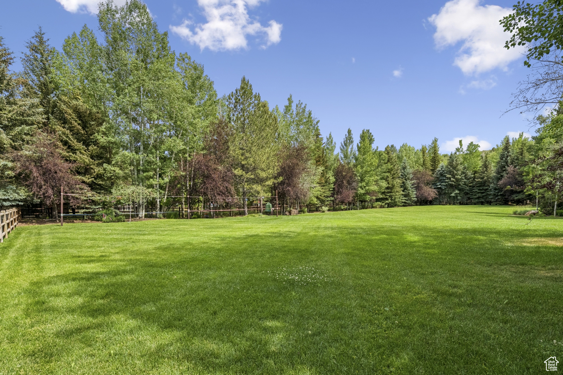 main property photo 99