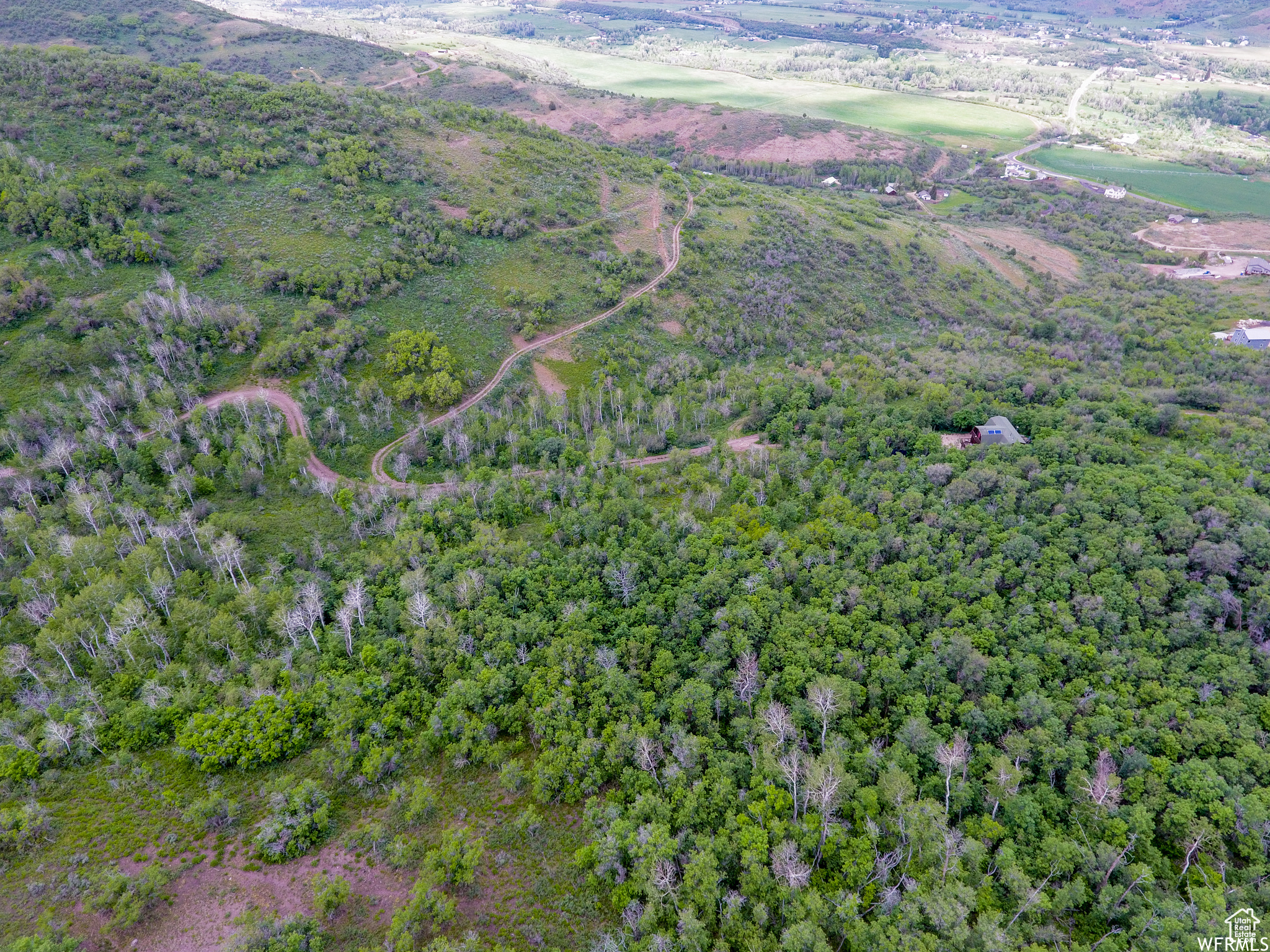 main property photo 17
