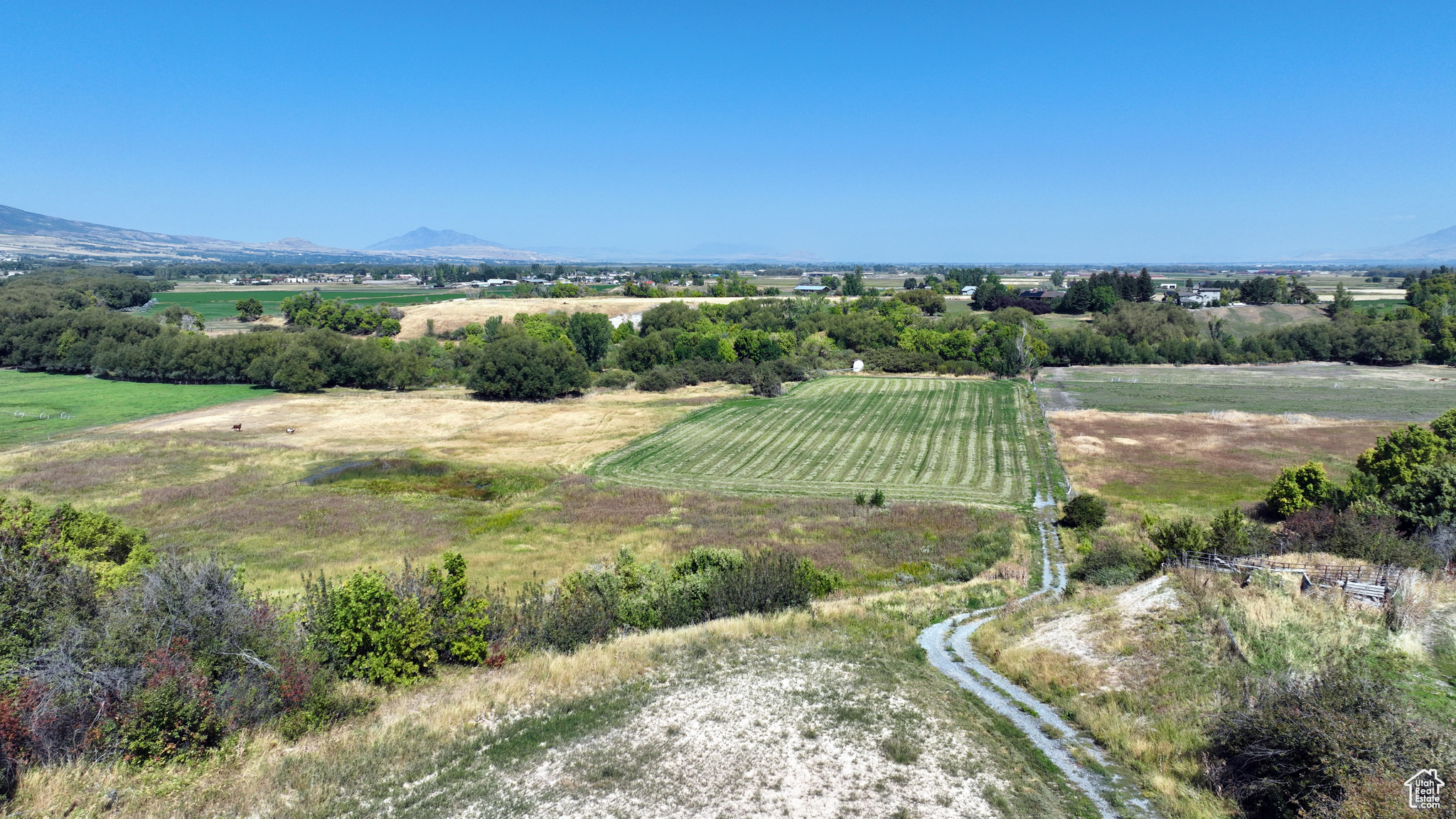 main property photo 10