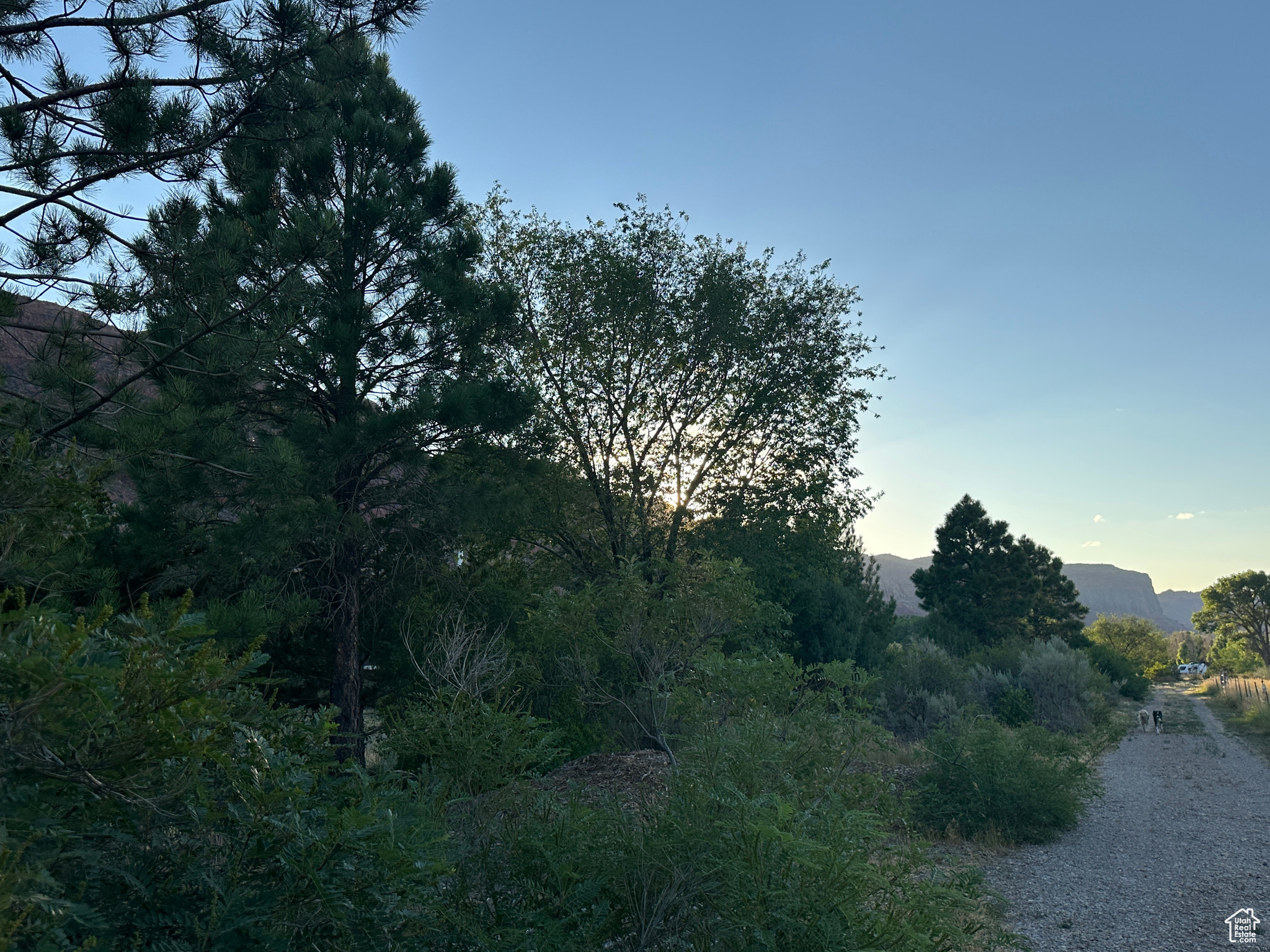 main property photo 46