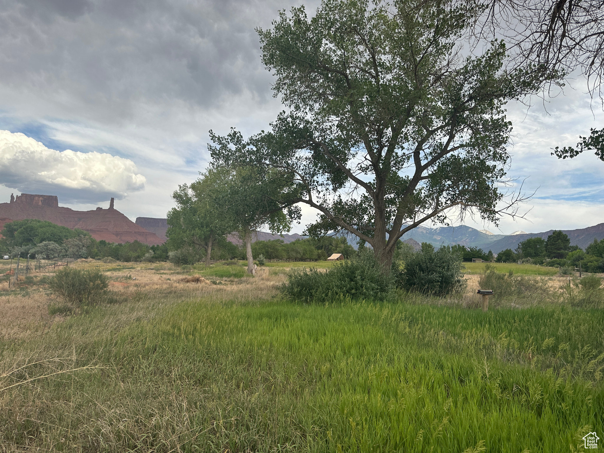main property photo 53