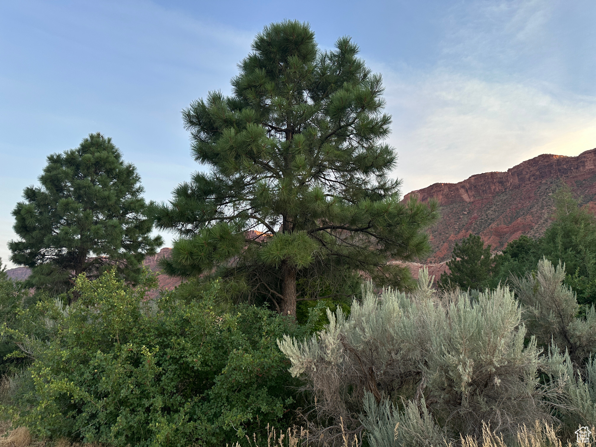 main property photo 28