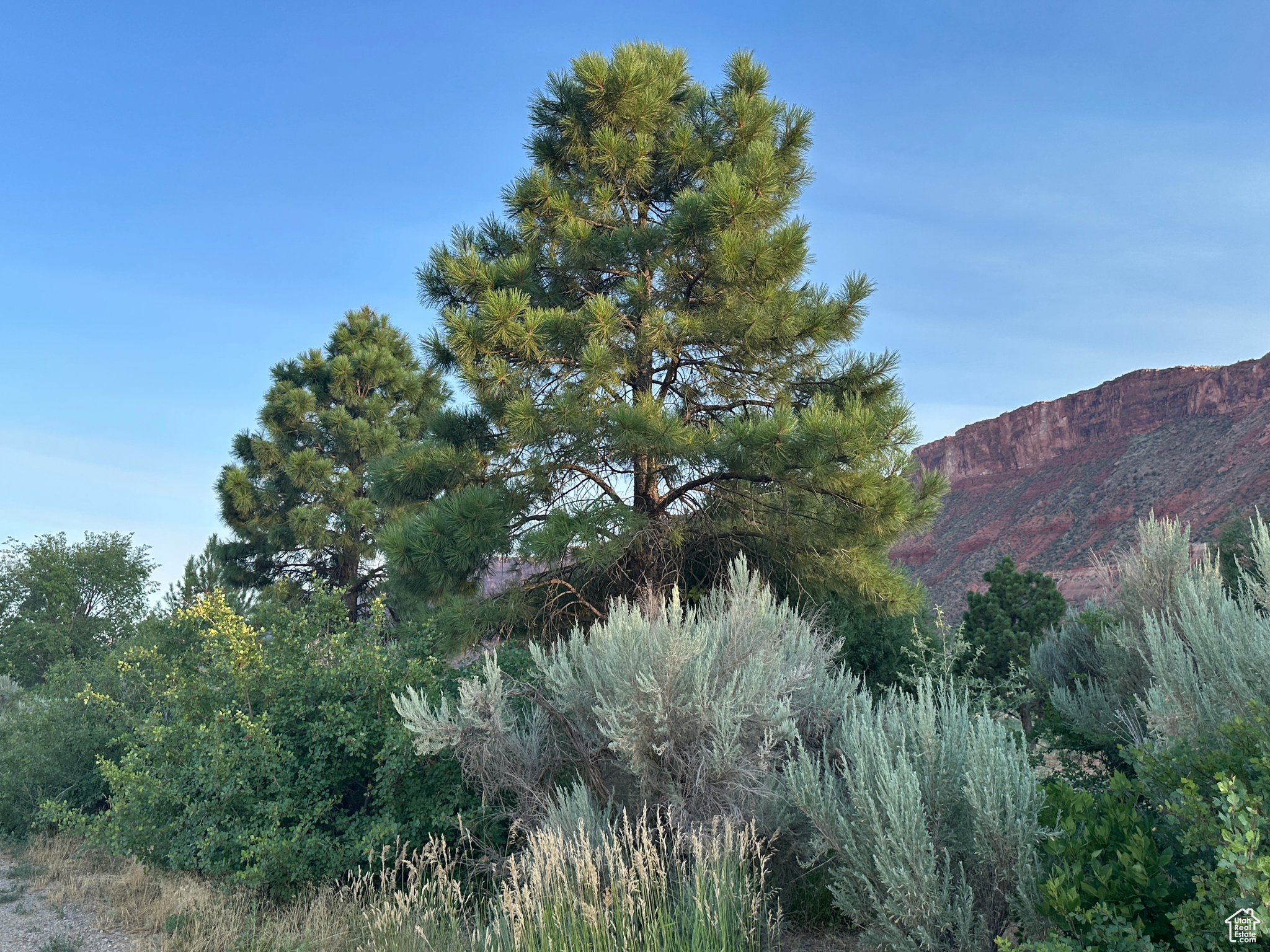 main property photo 29
