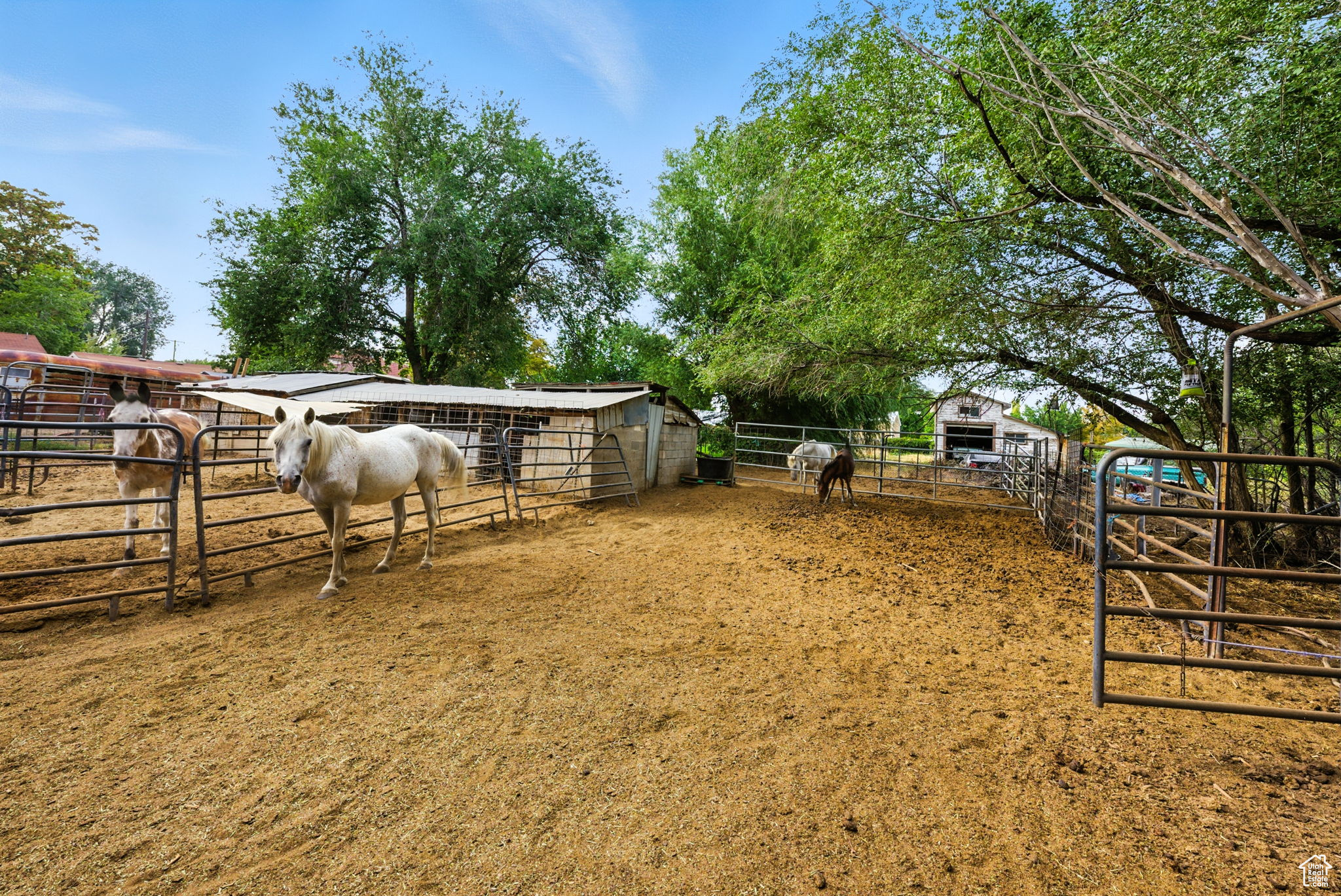 main property photo 14