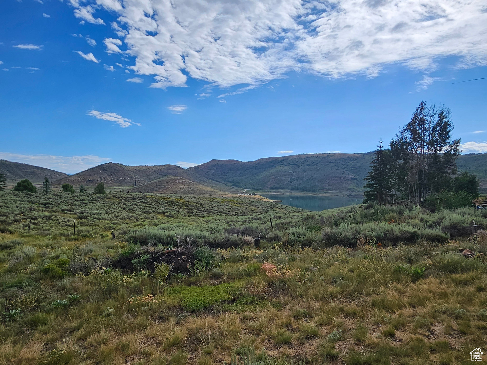 main property photo 53