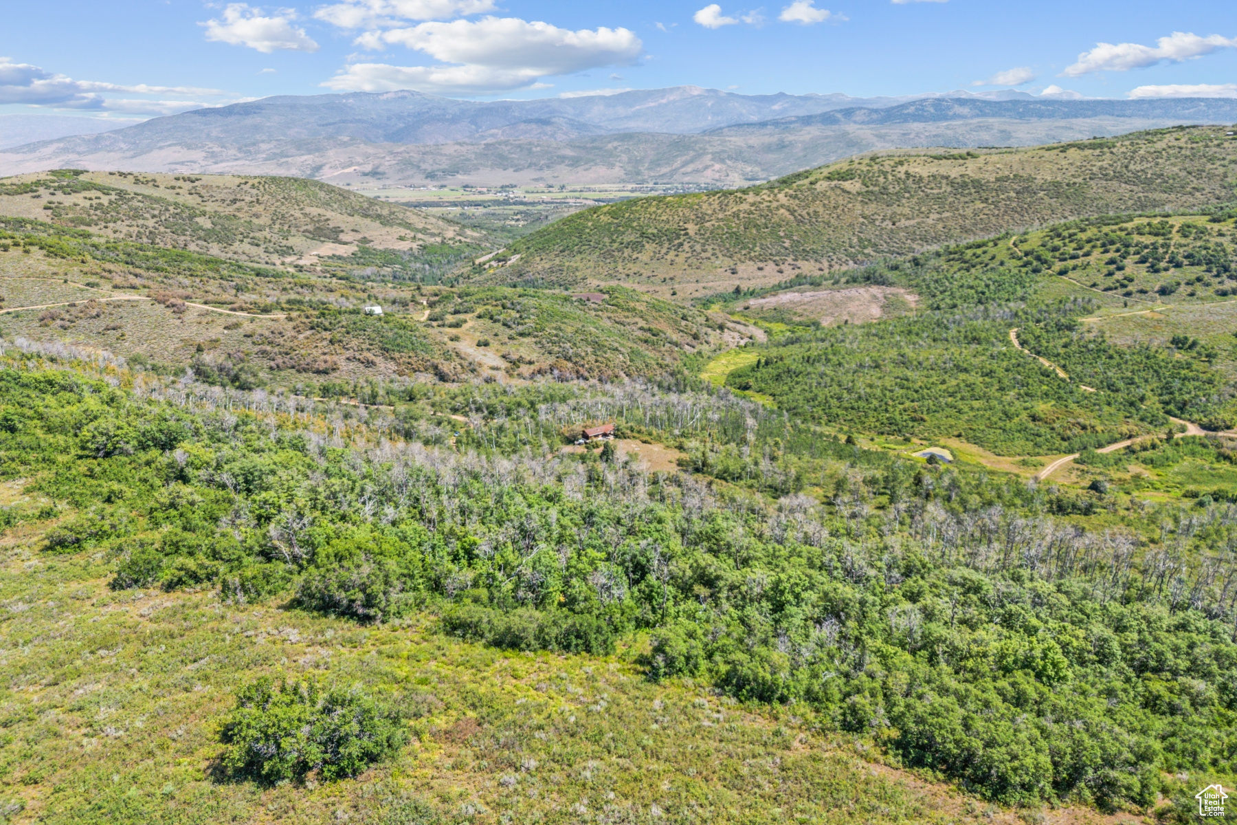 main property photo 50