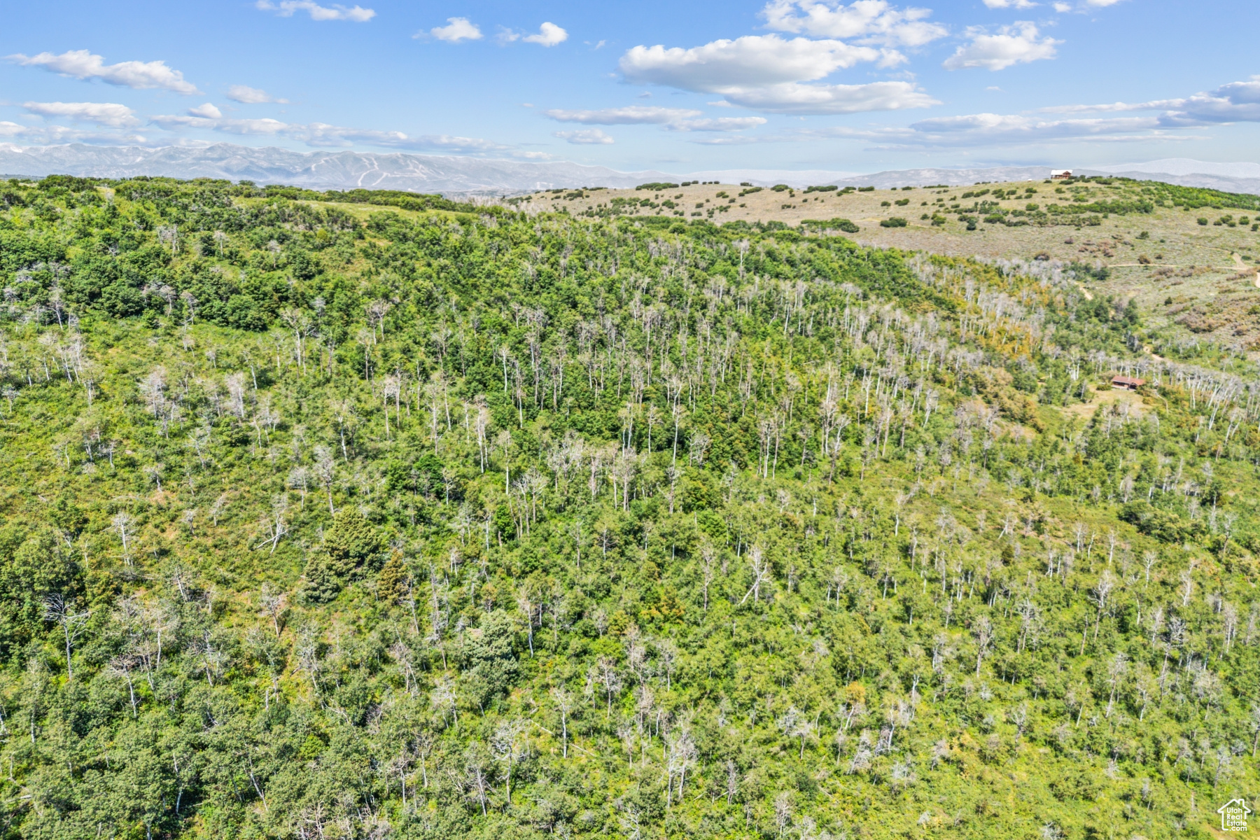 main property photo 54