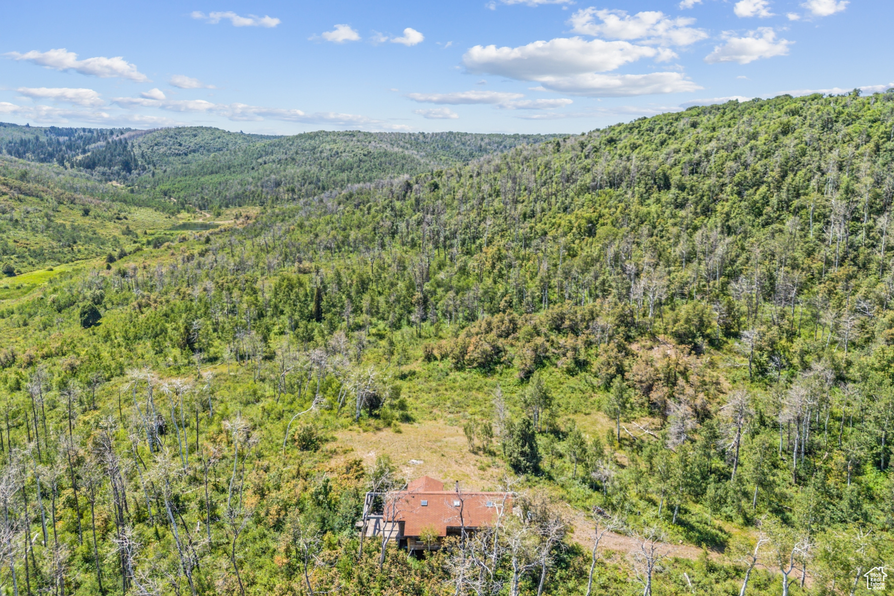 main property photo 57