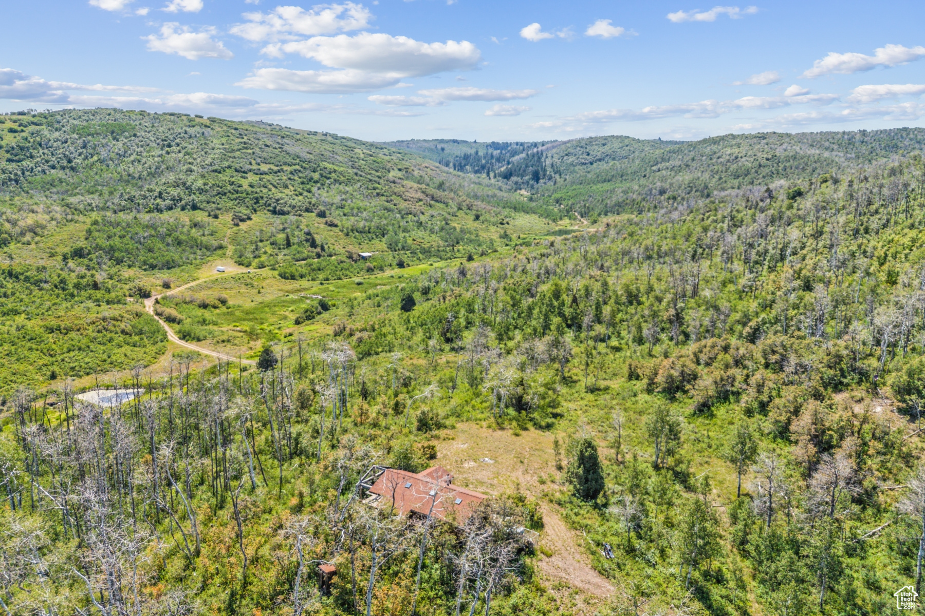 main property photo 58