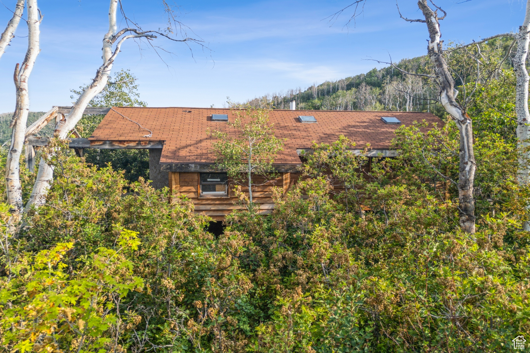 main property photo 59