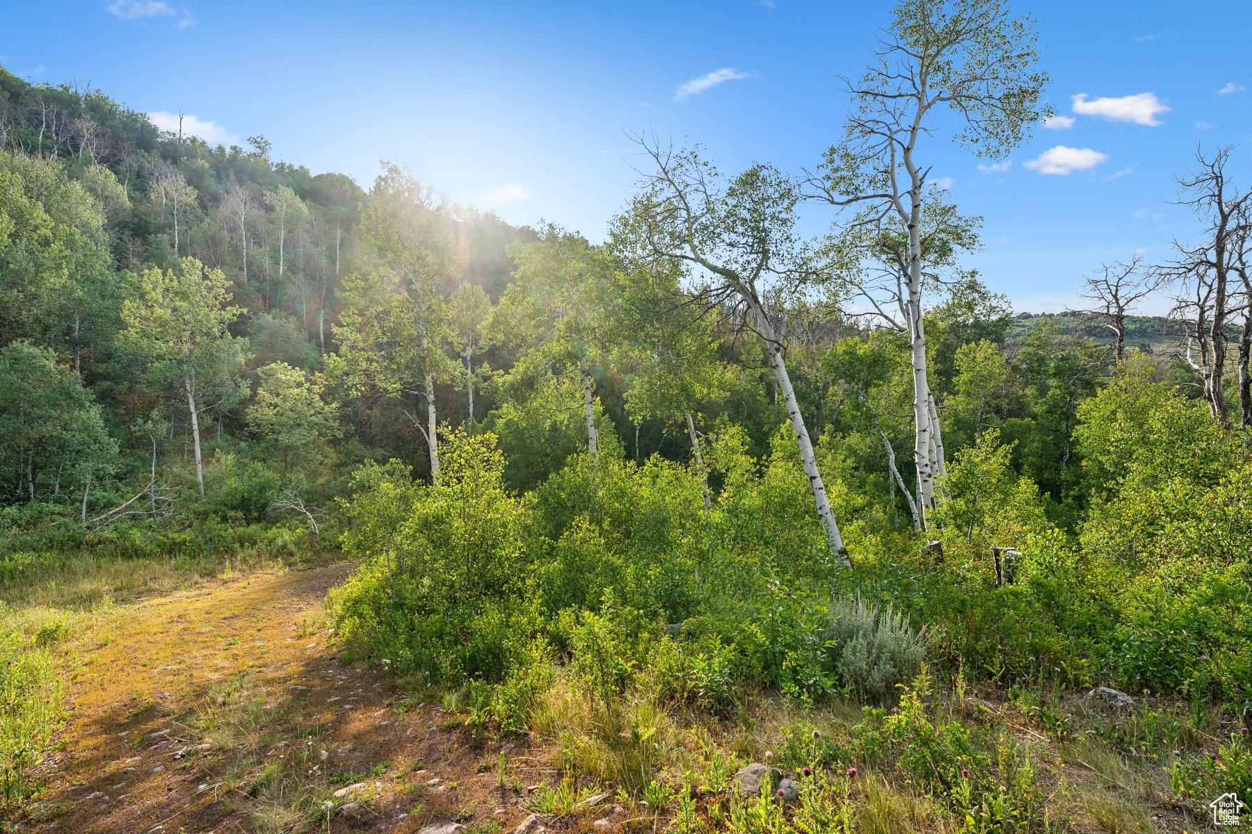 main property photo 62