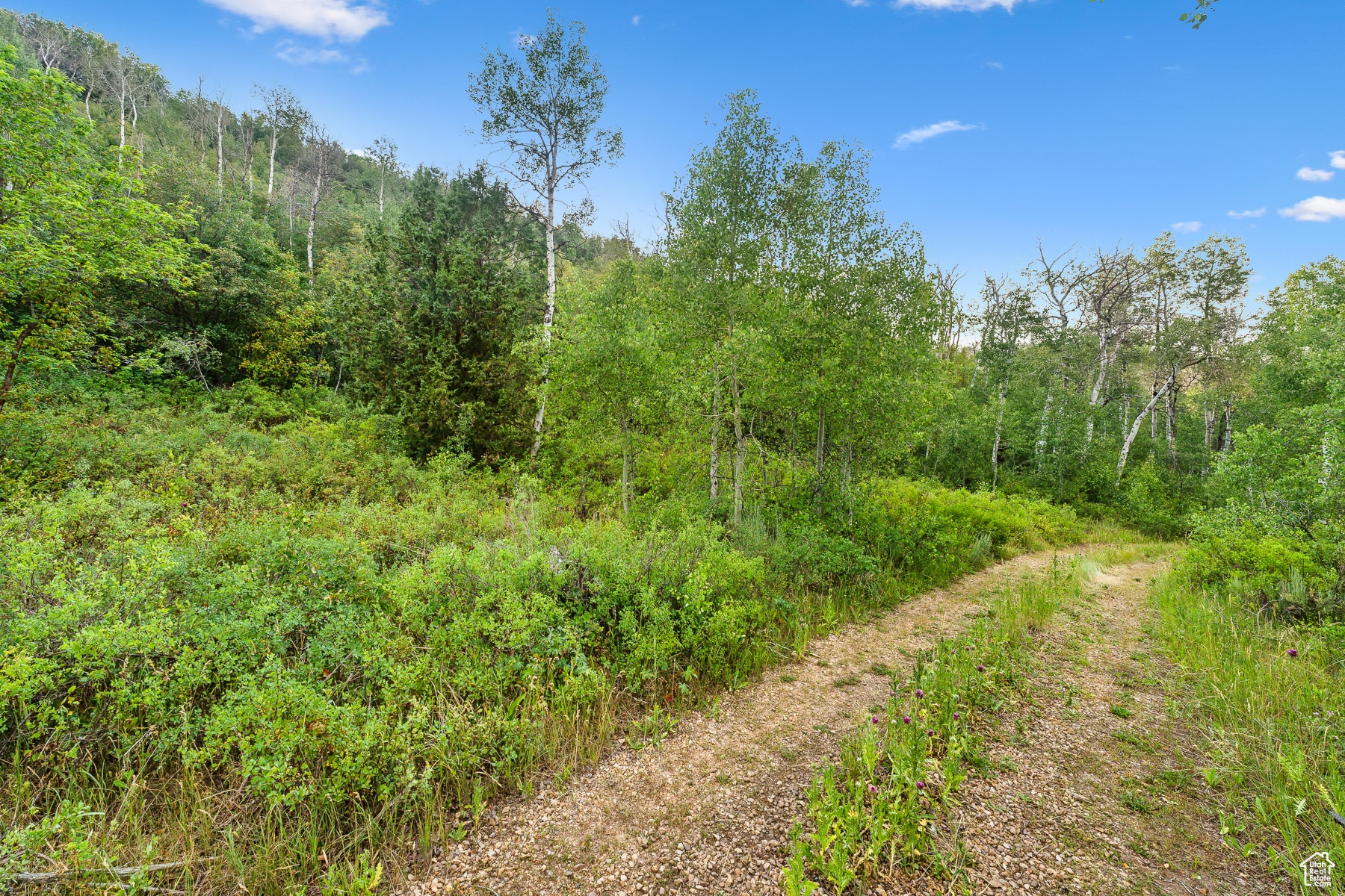 main property photo 63