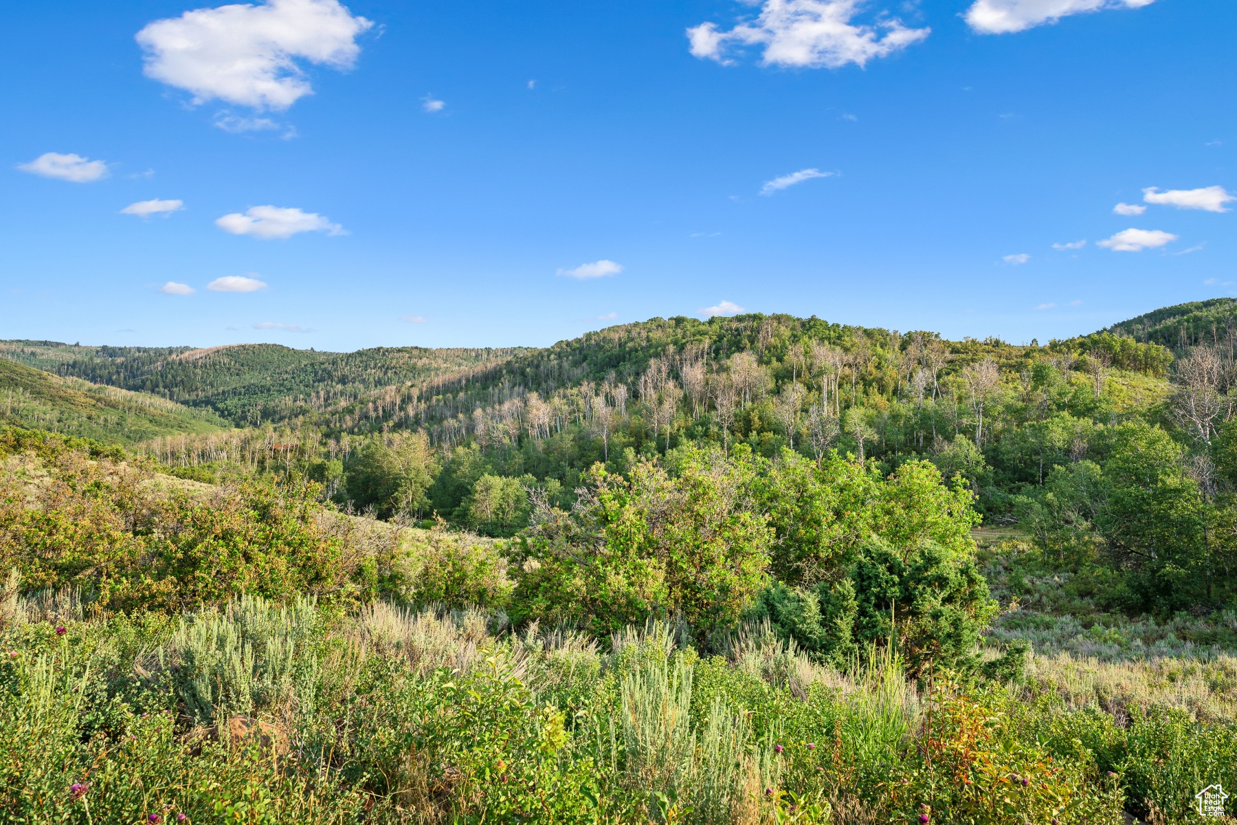 main property photo 65