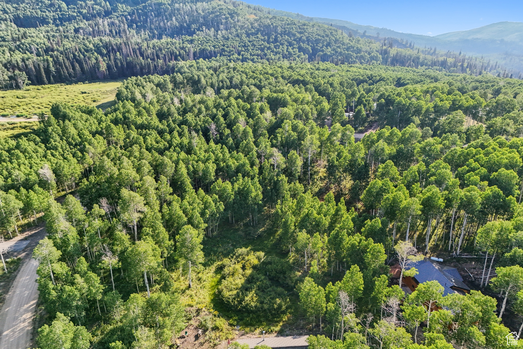 main property photo 13