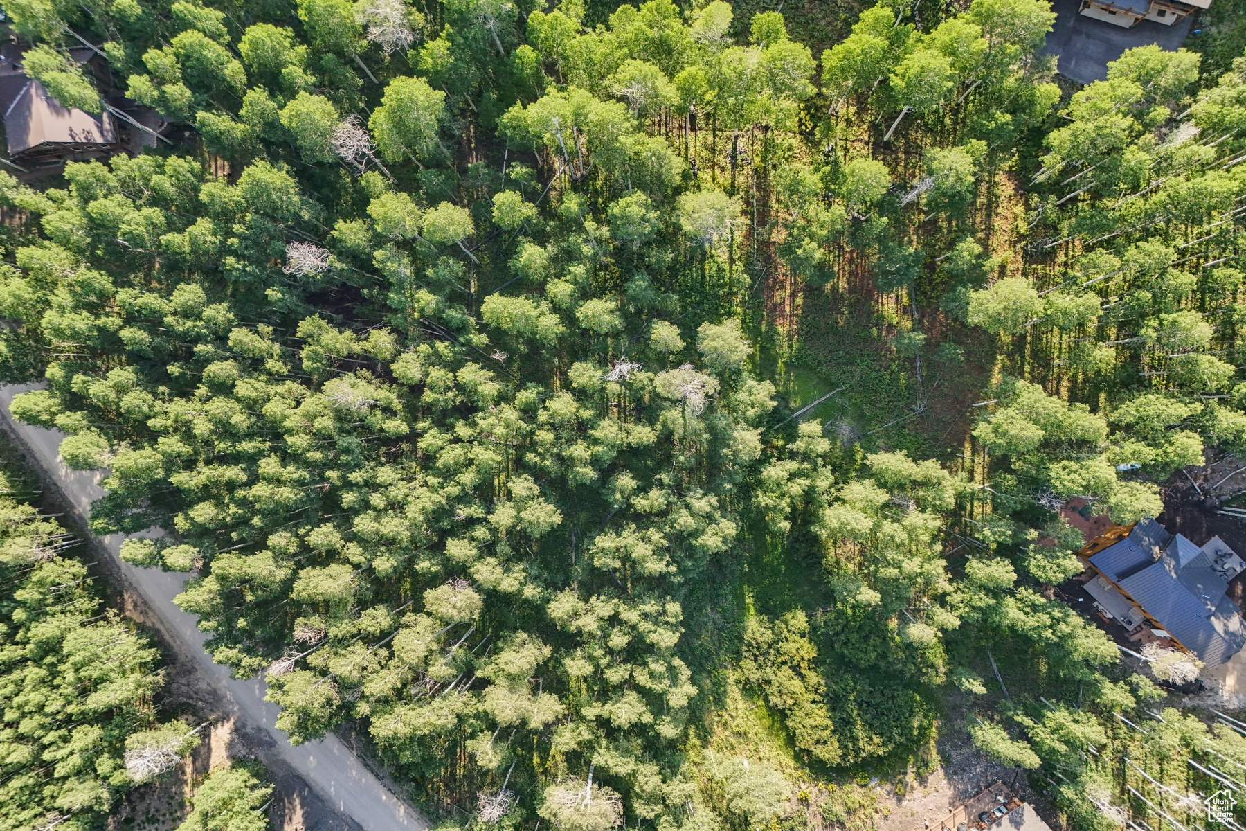 main property photo 14