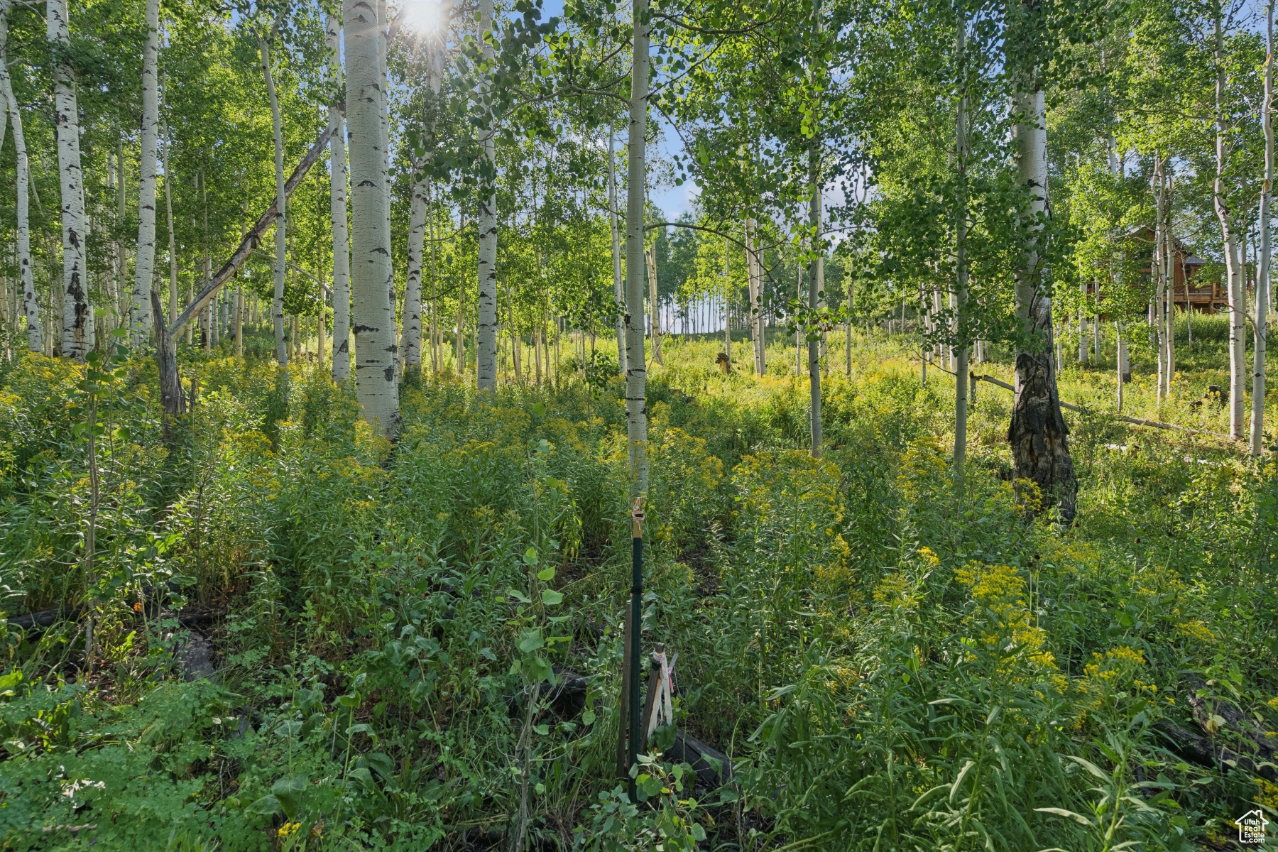 main property photo 28
