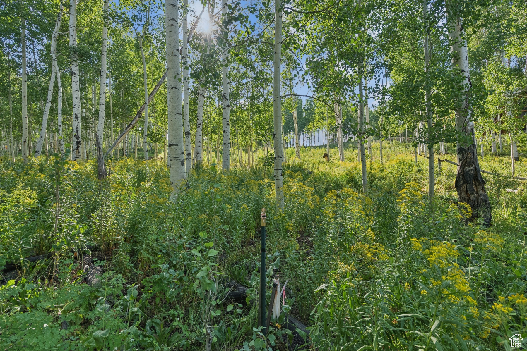 main property photo 29