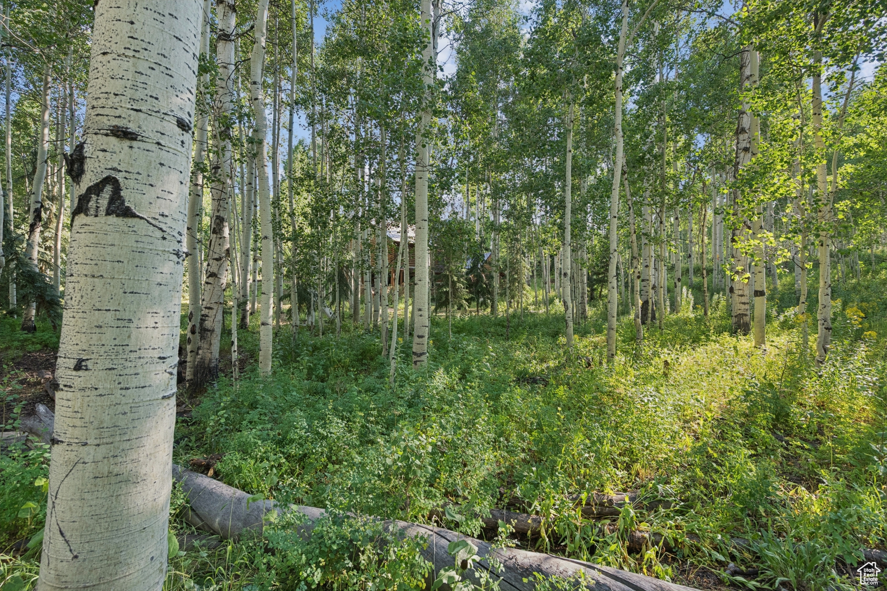 main property photo 40