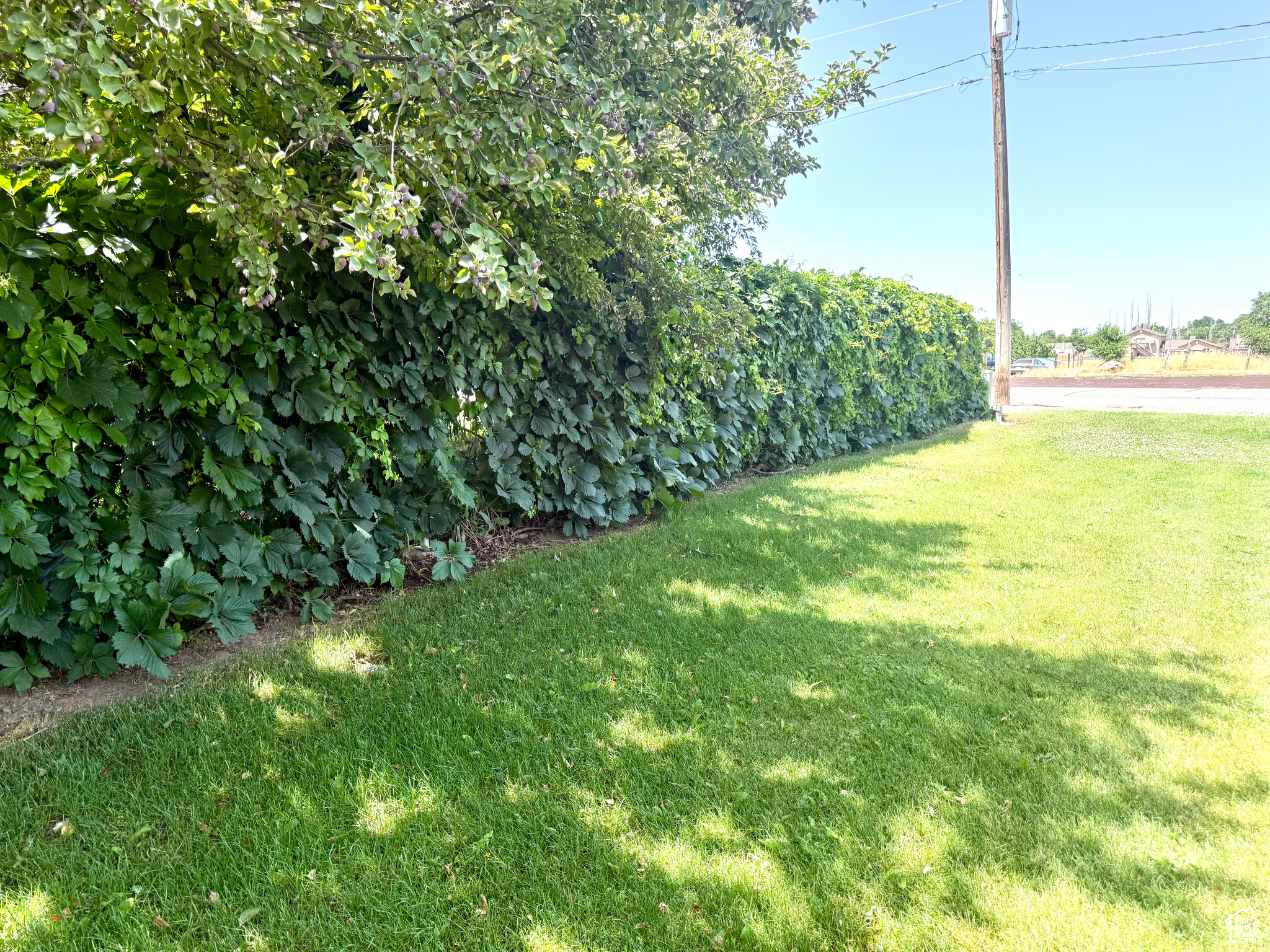 main property photo 13