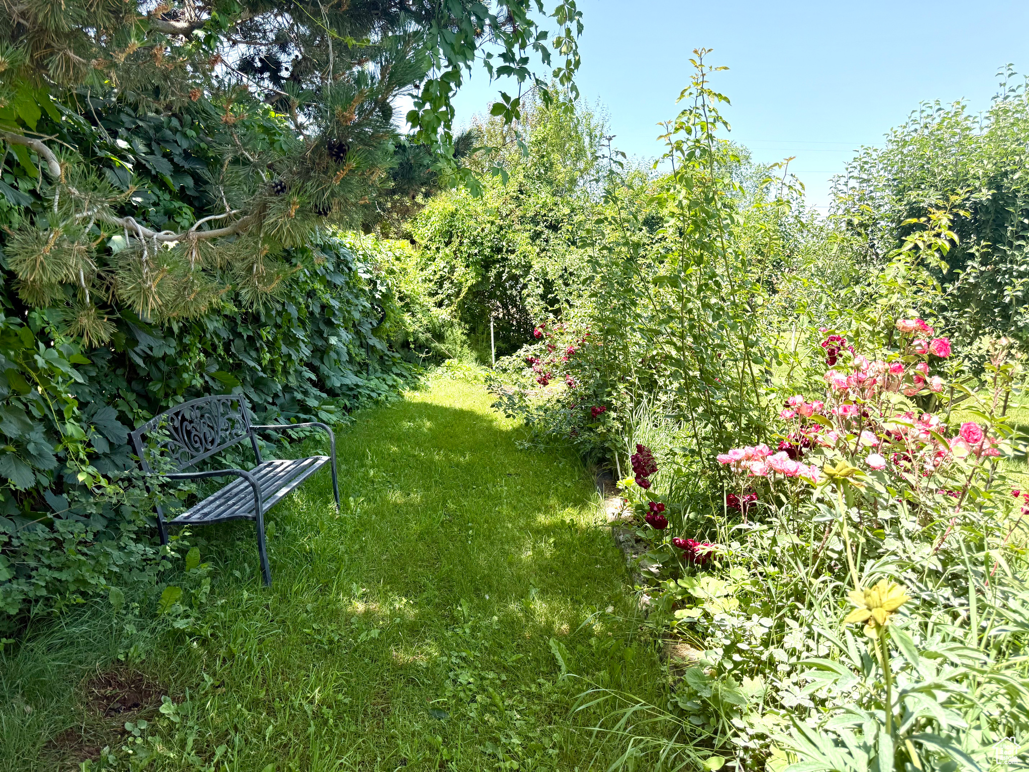 main property photo 8