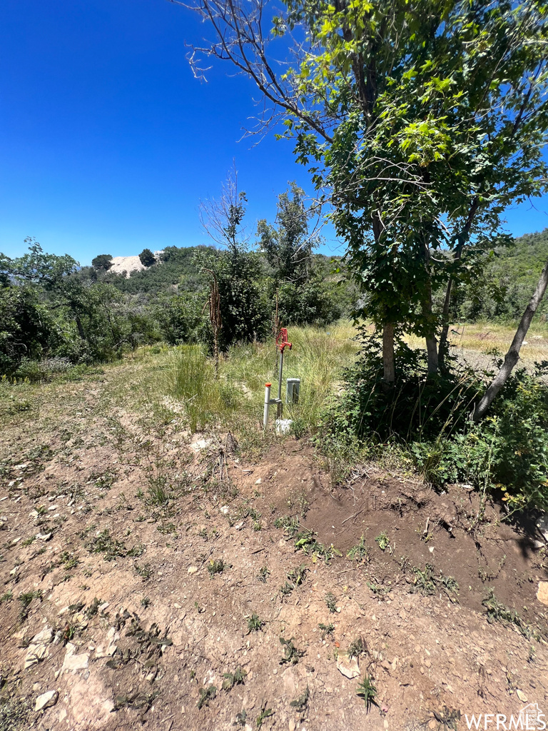 main property photo 10