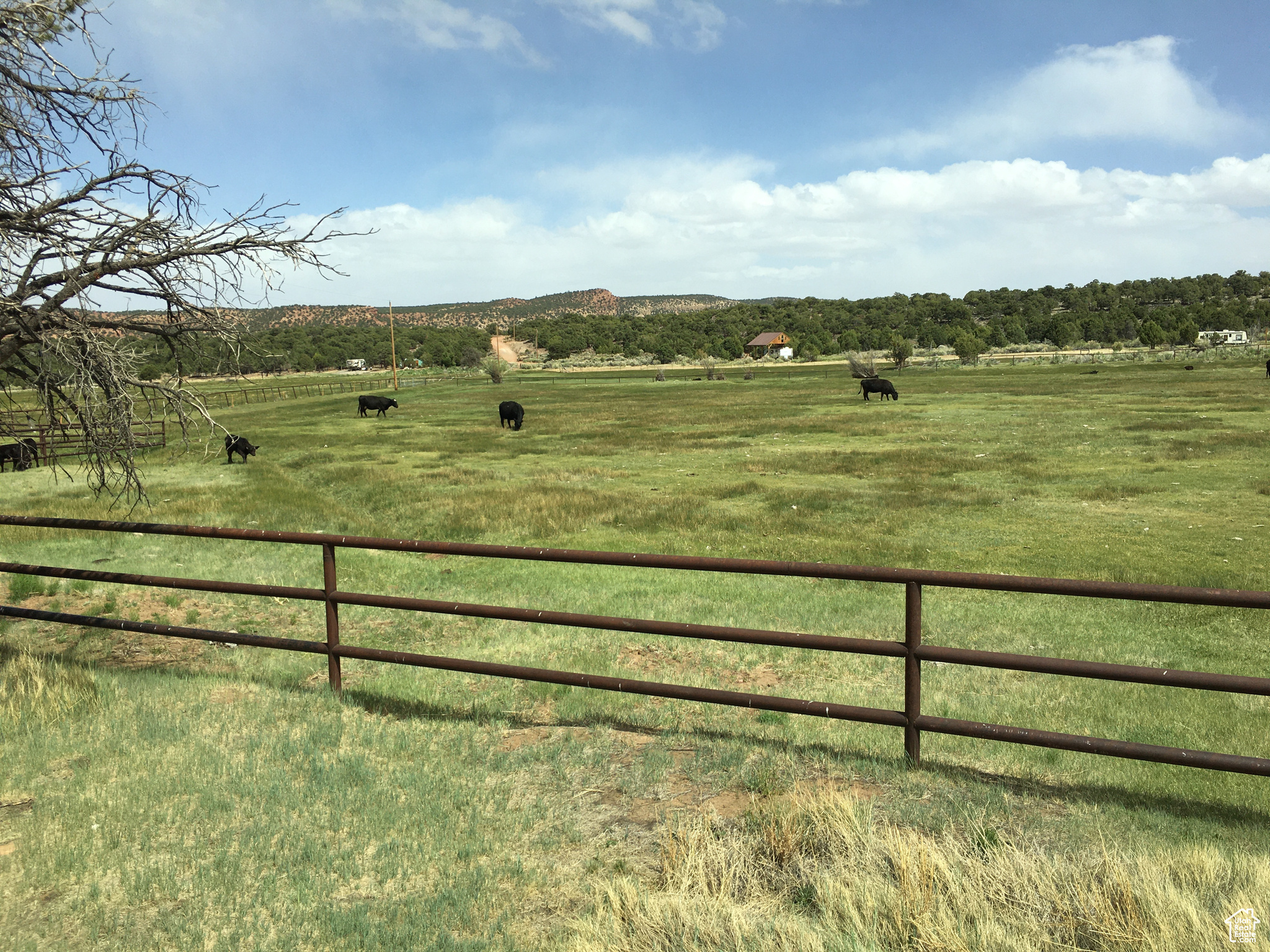 main property photo 9