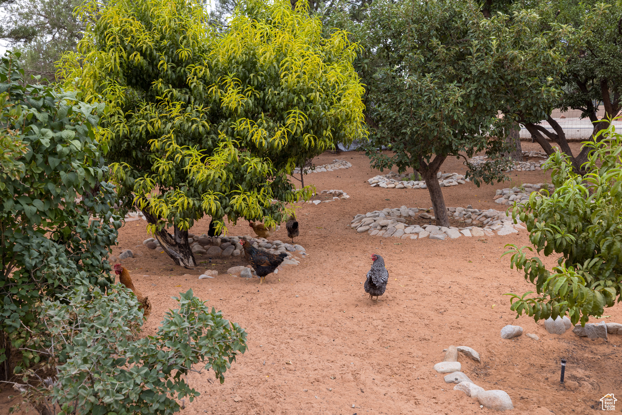 main property photo 25