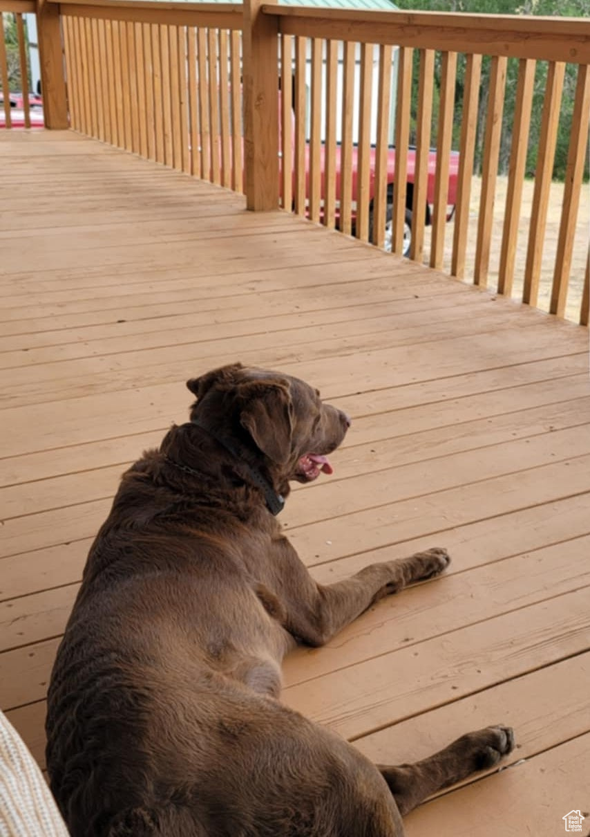 main property photo 32