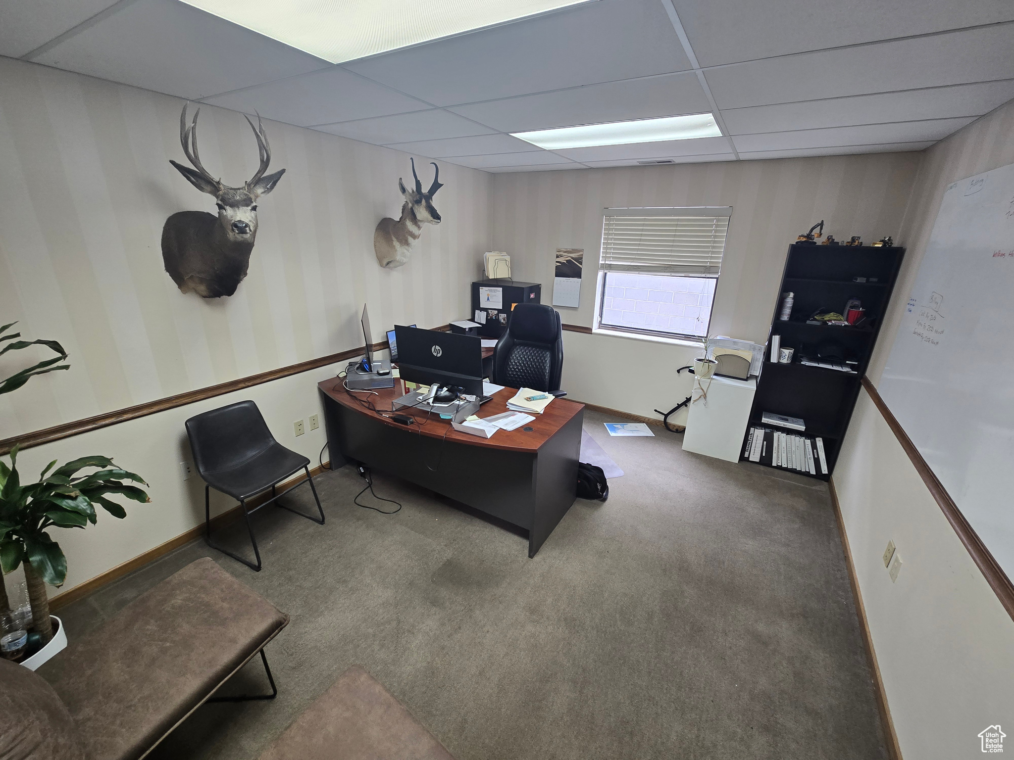 main property photo 6