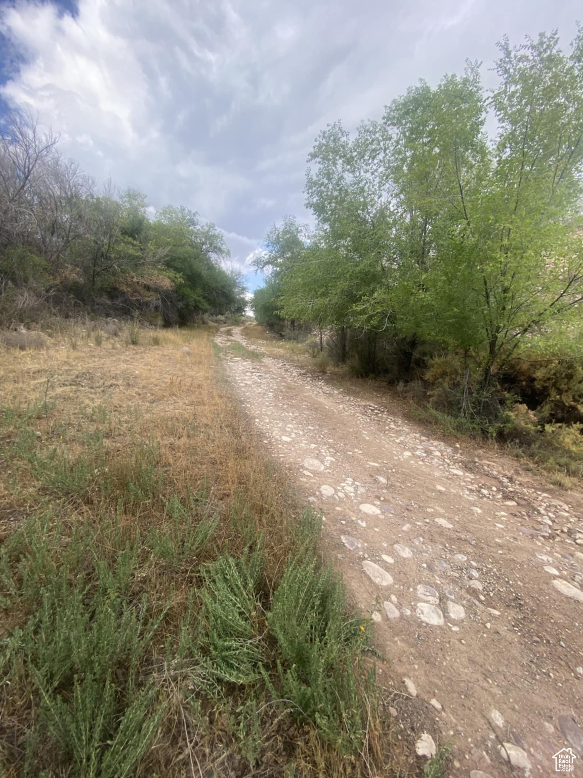 main property photo 71