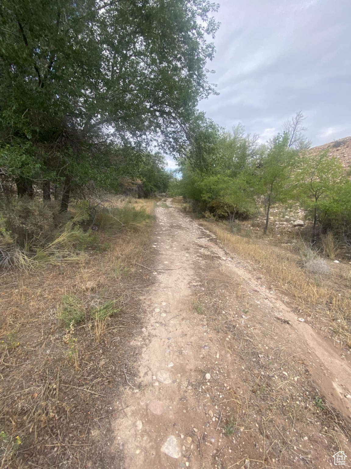 main property photo 72