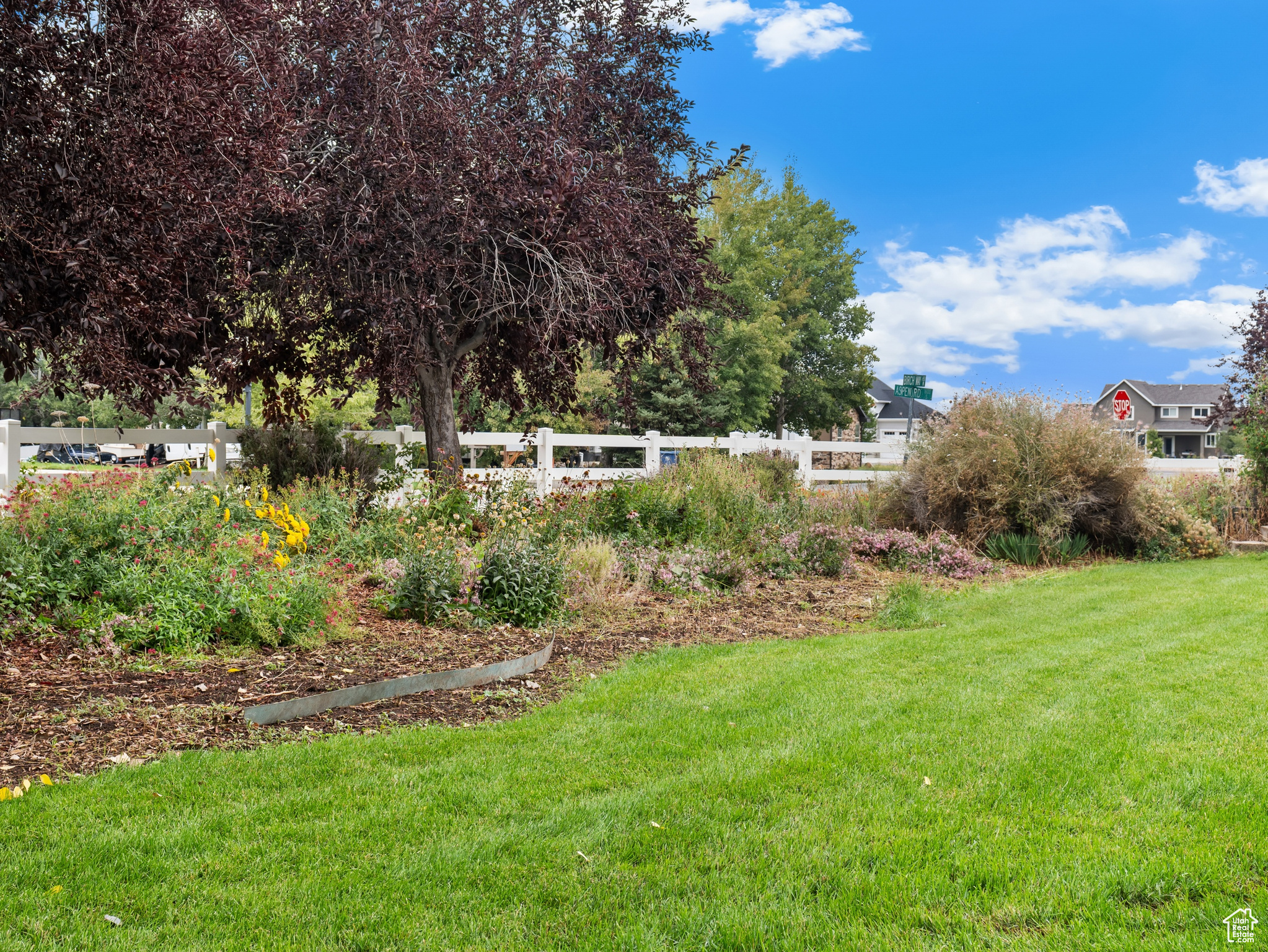 main property photo 61