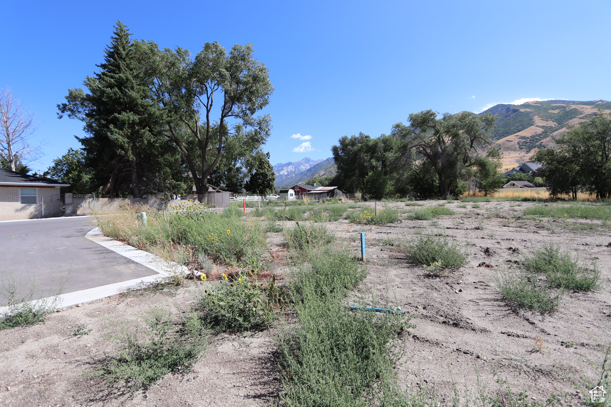 main property photo 6