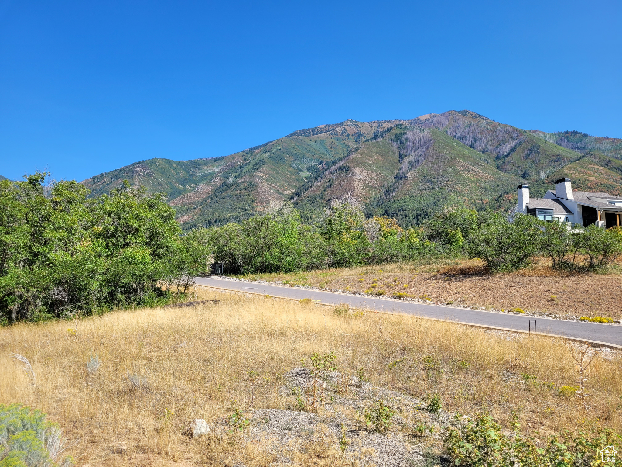 main property photo 6