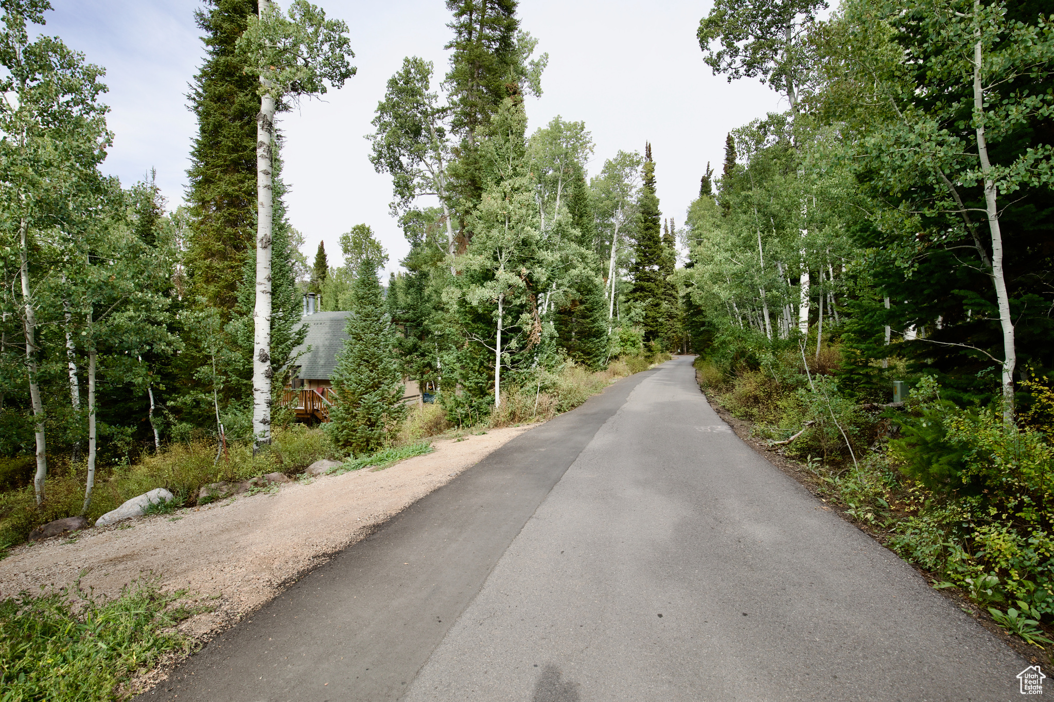main property photo 52