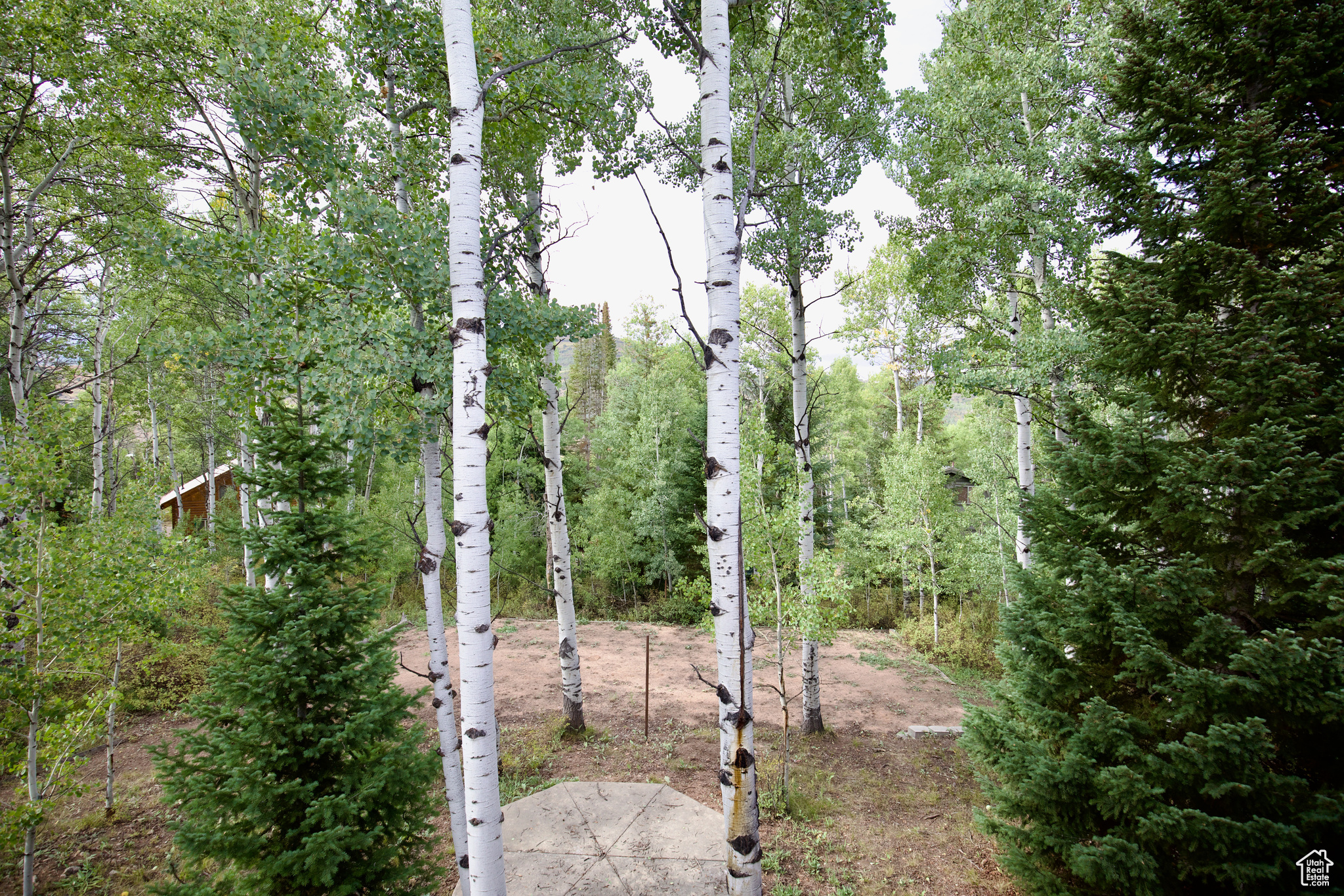main property photo 72