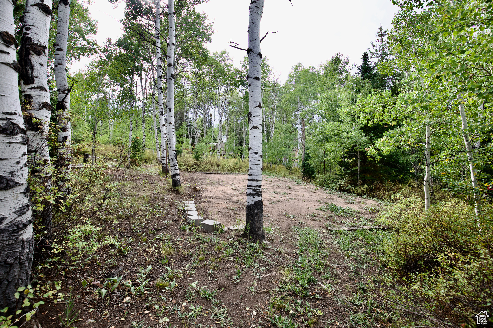 main property photo 73