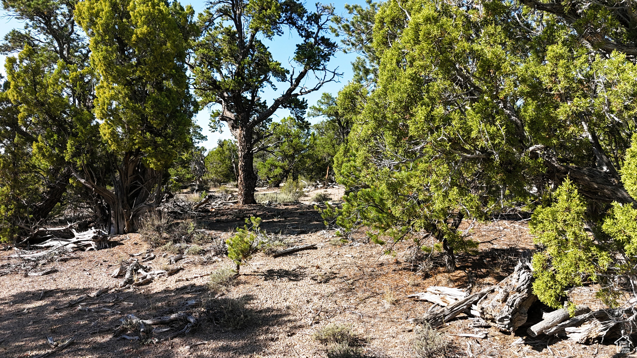 main property photo 51