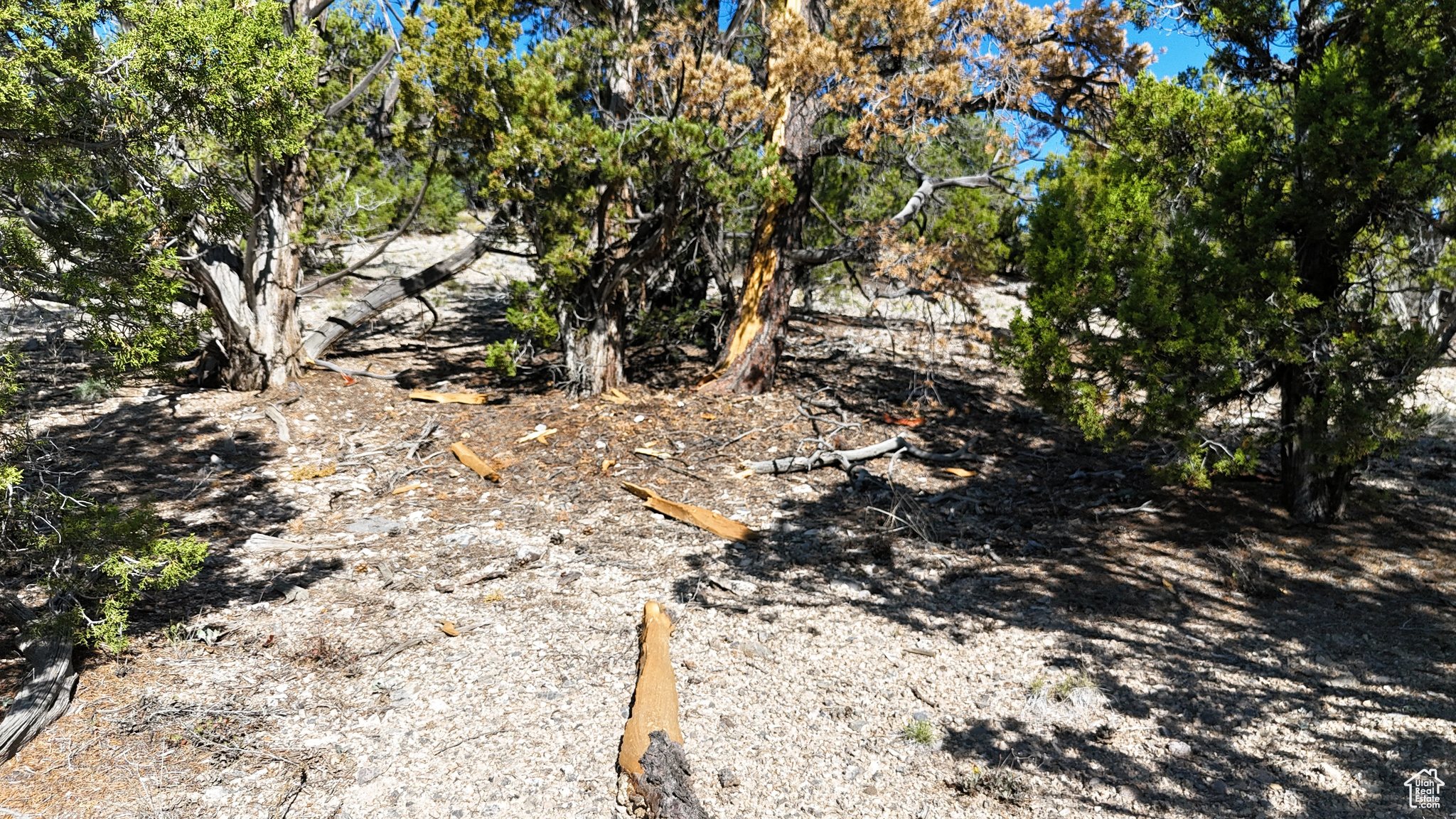 main property photo 52