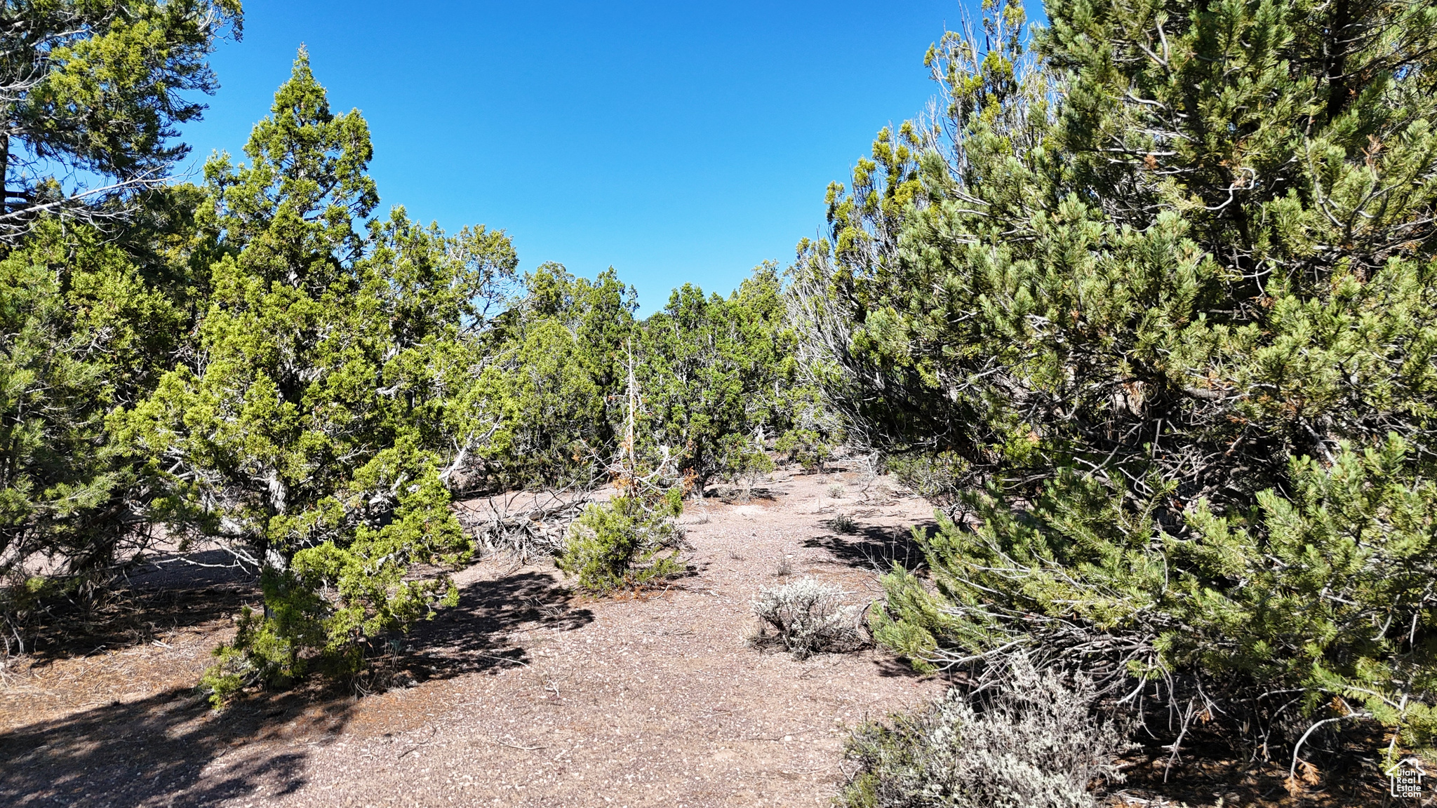 main property photo 59