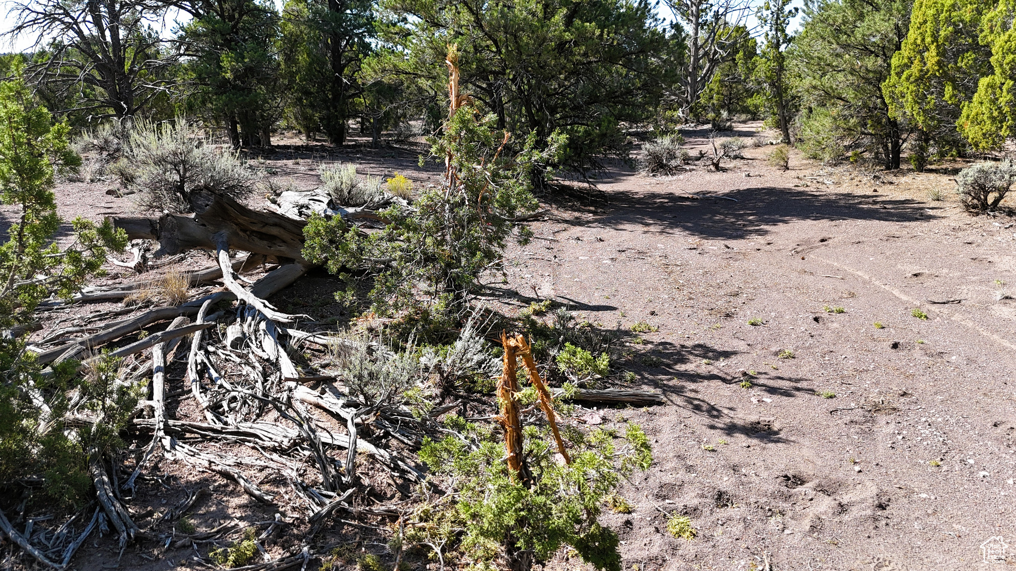main property photo 60