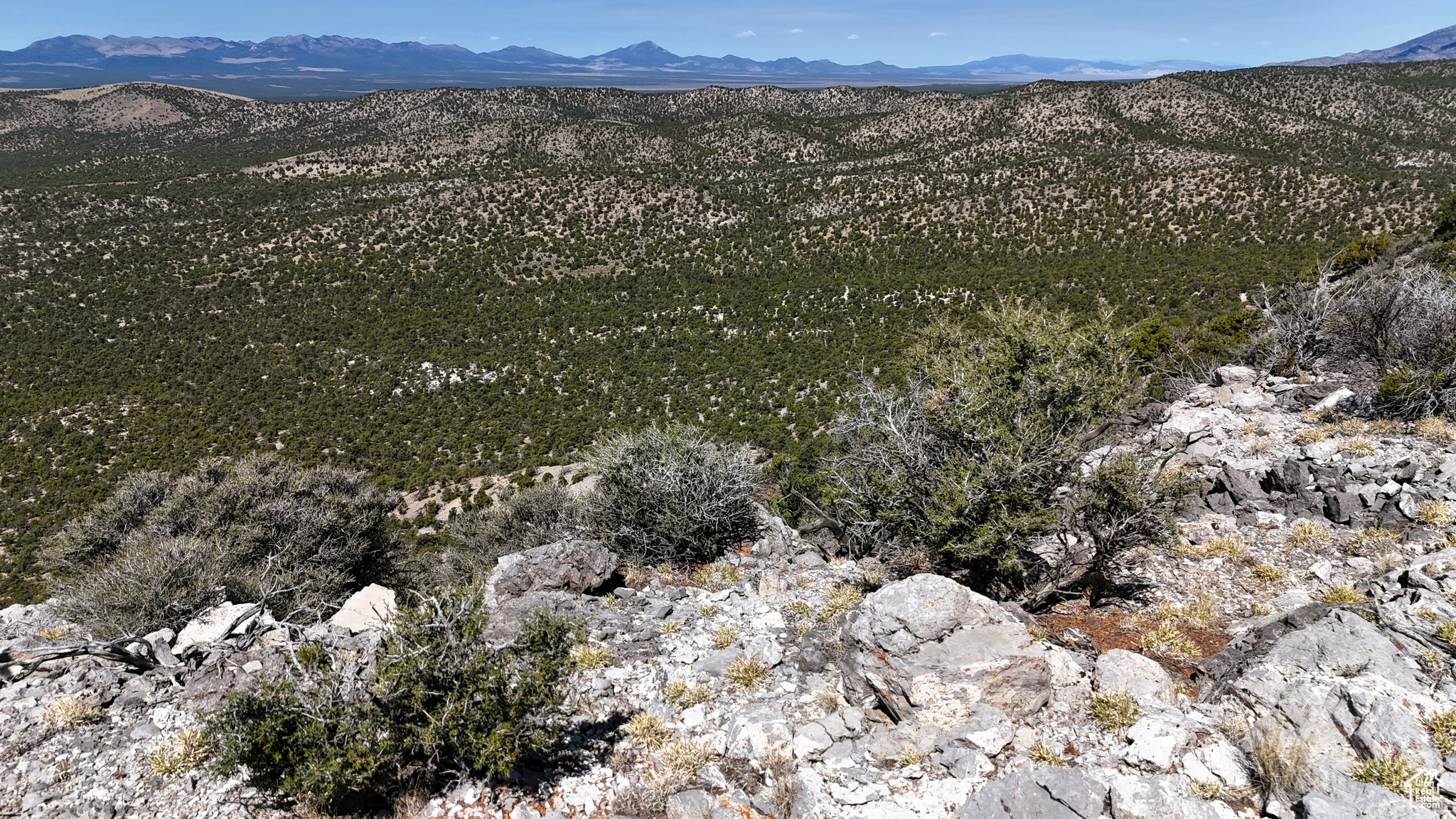 main property photo 63