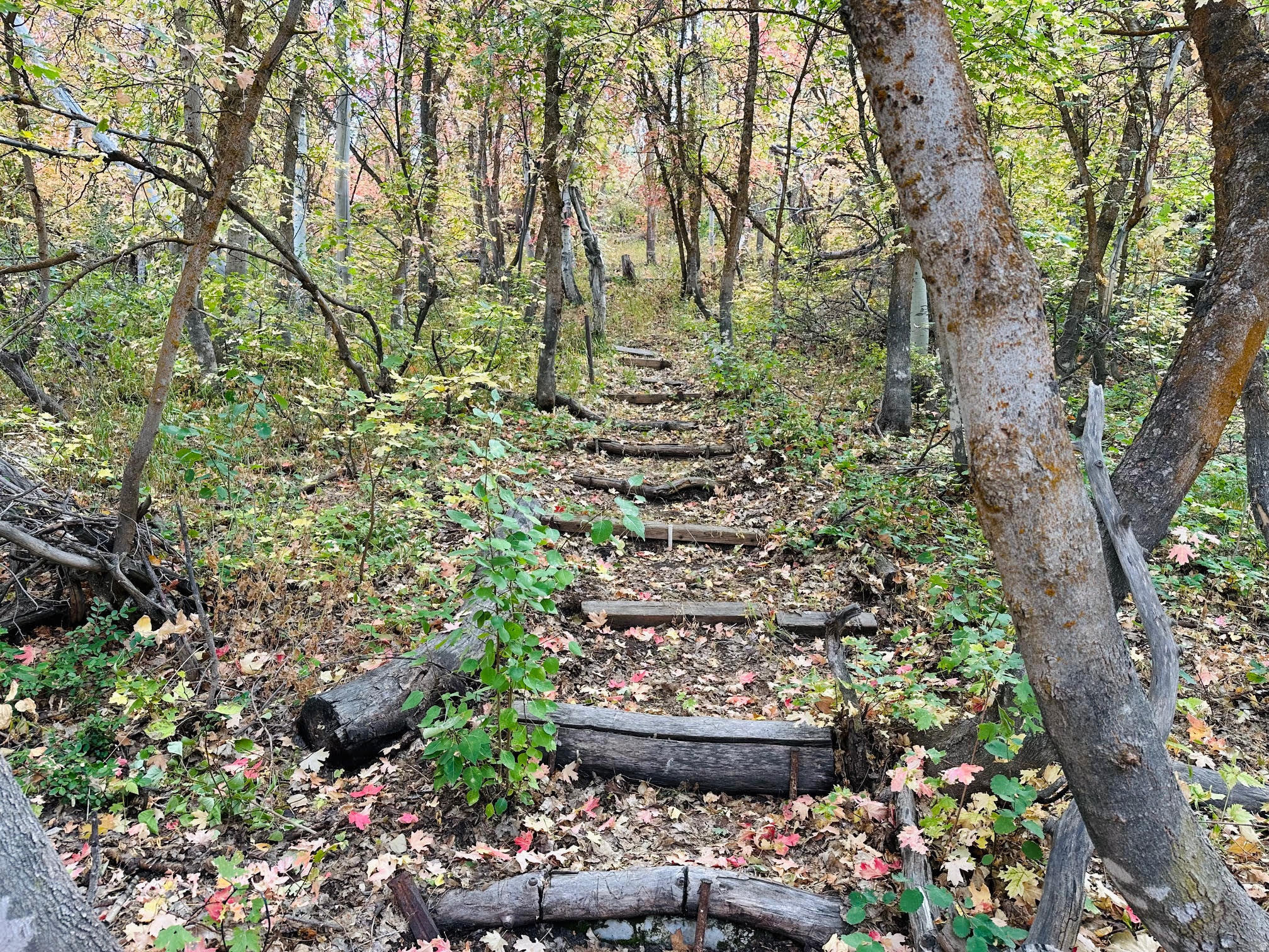 main property photo 21