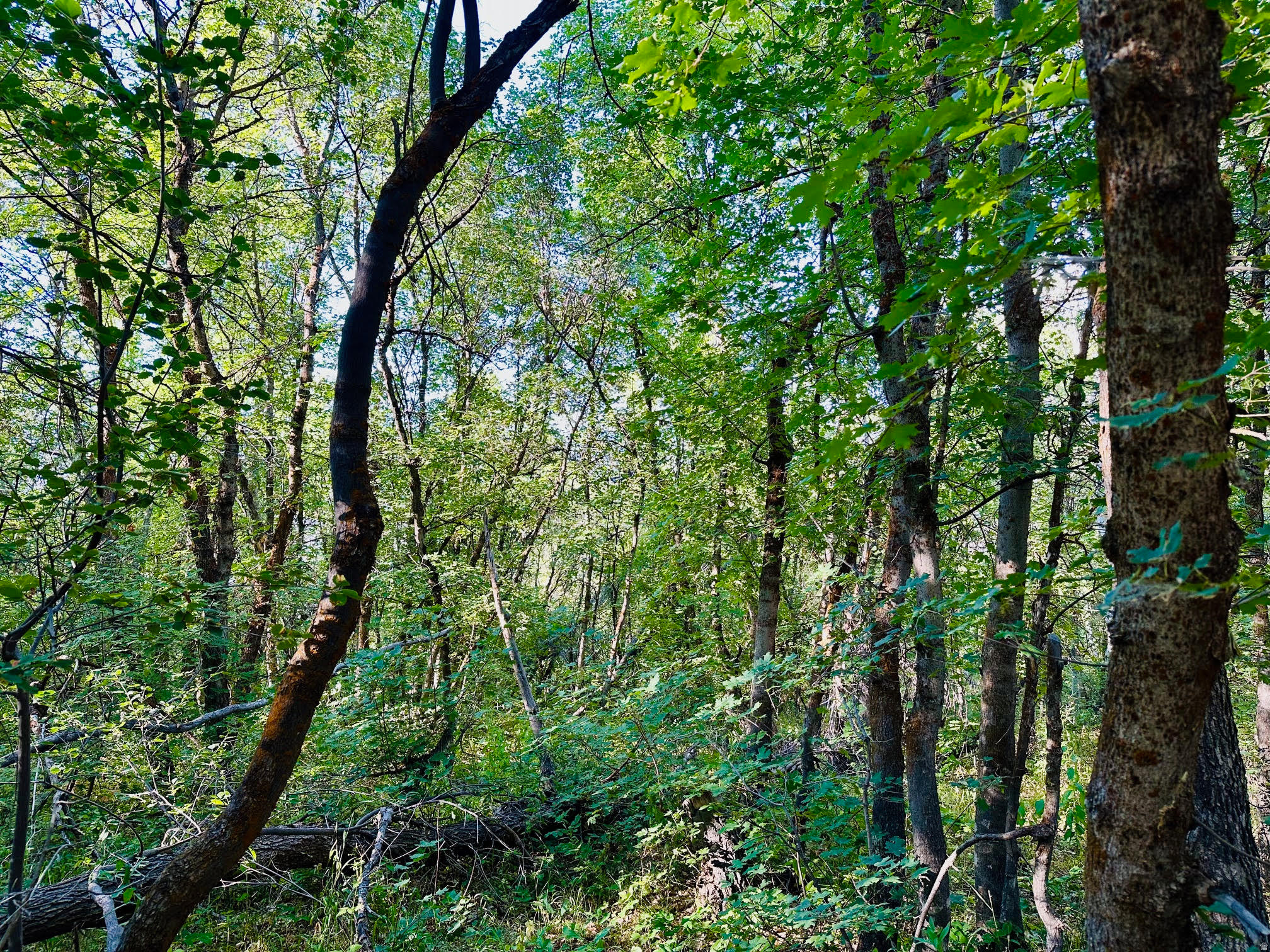 main property photo 25