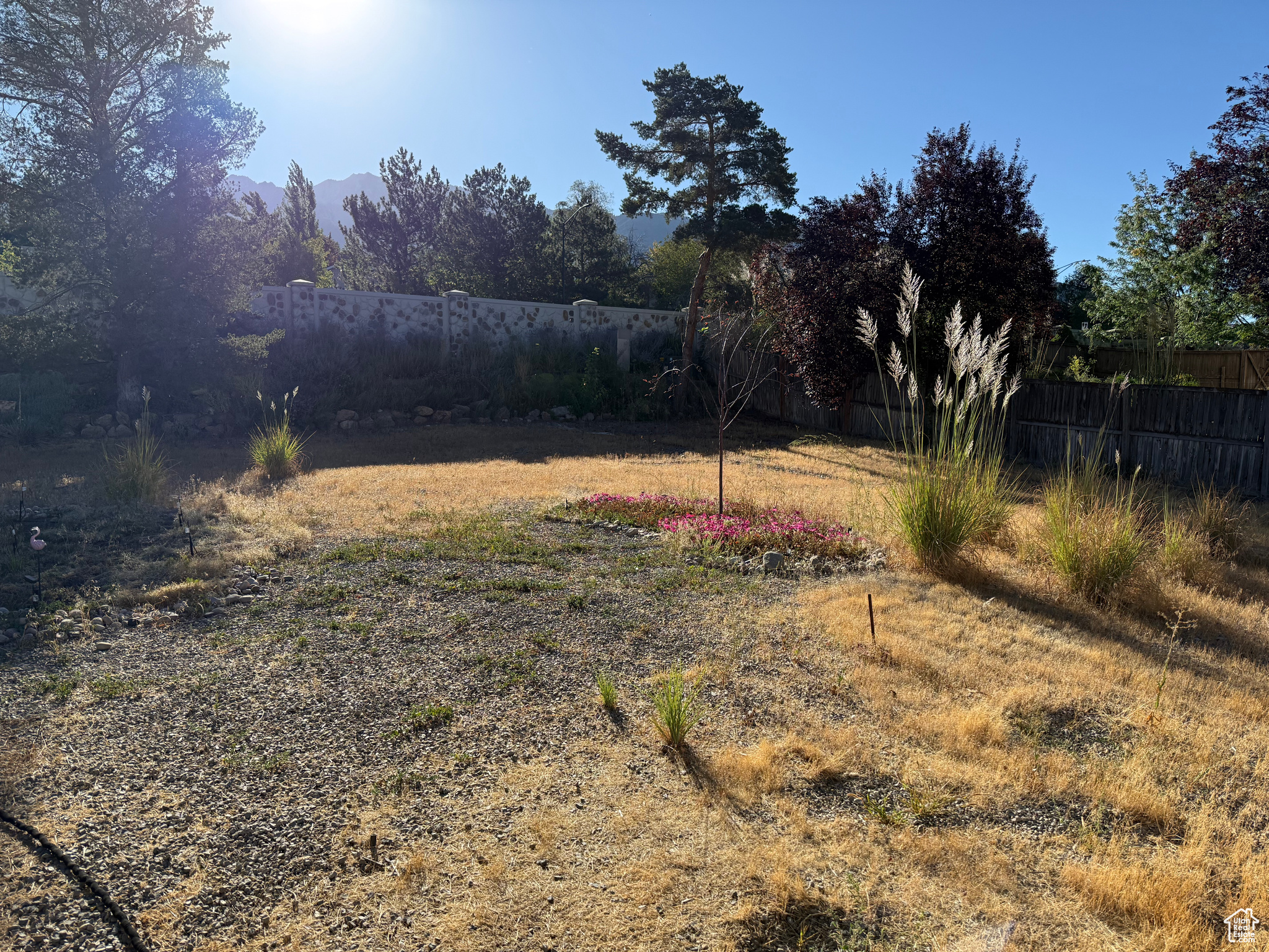 property viewer photo 4