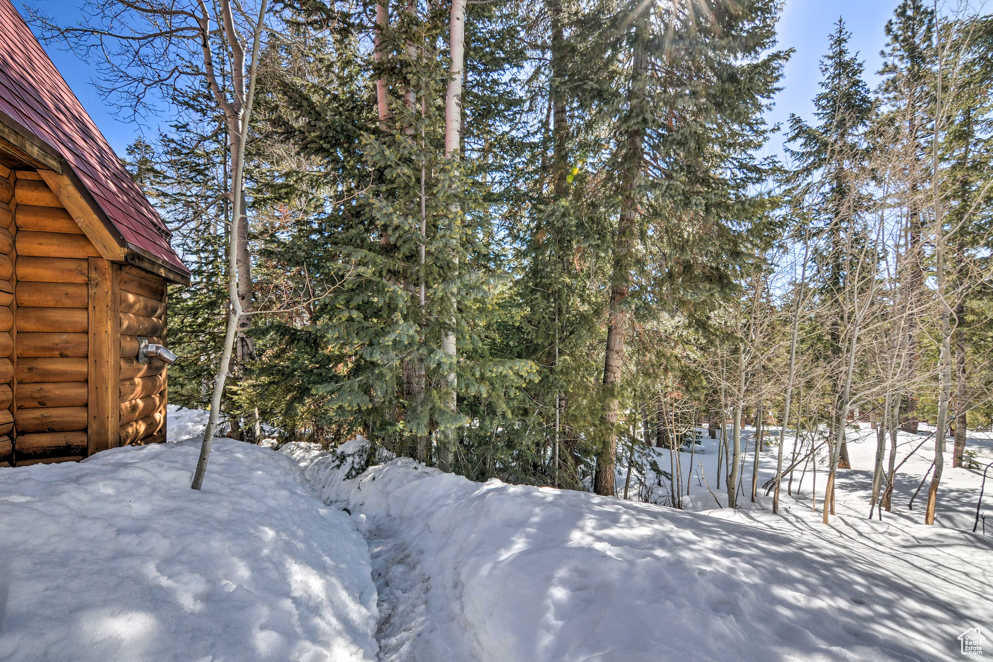 main property photo 14