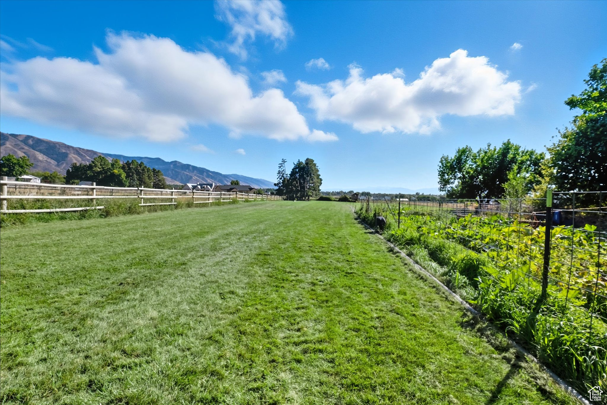 main property photo 79