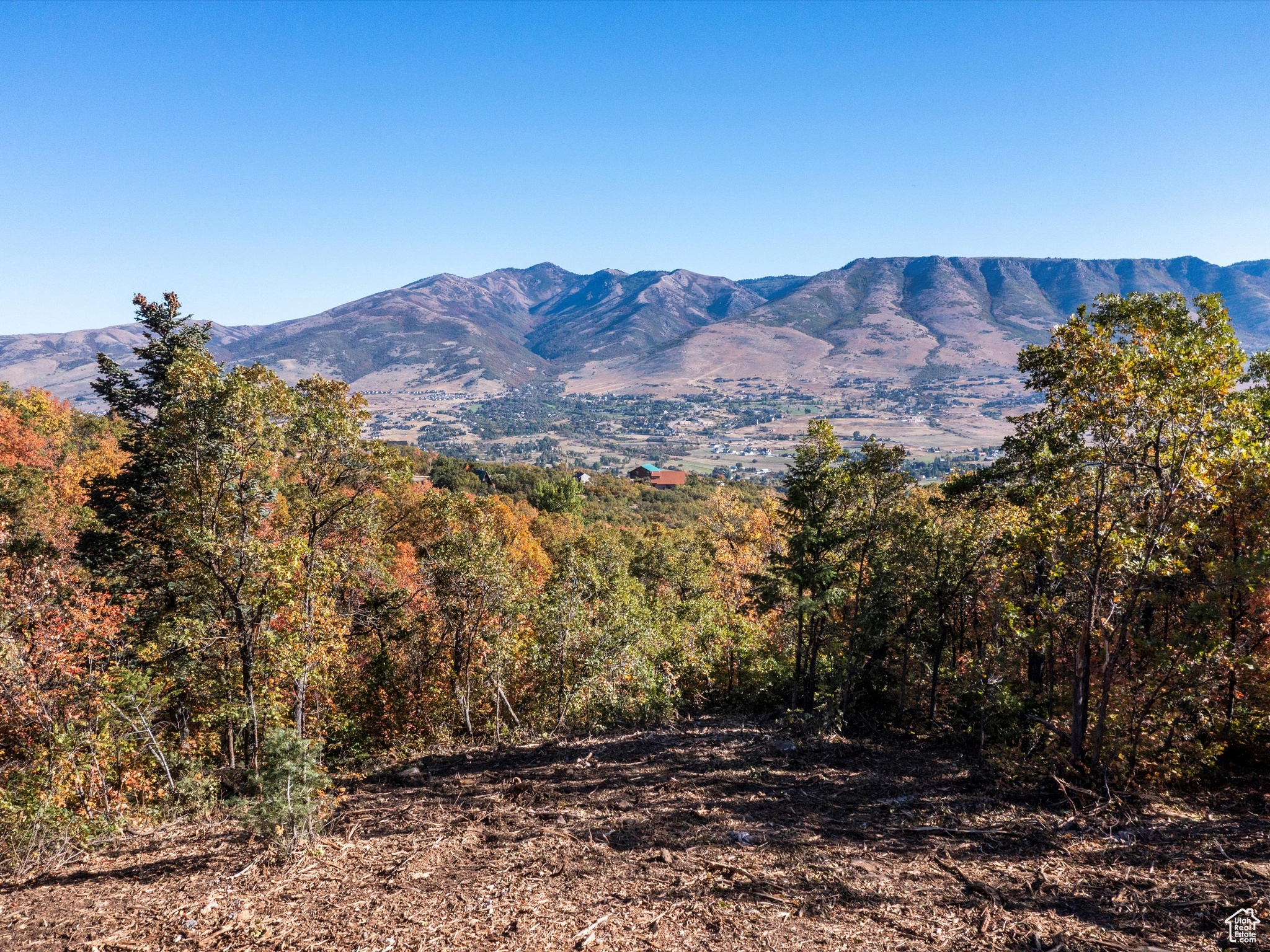 main property photo 16