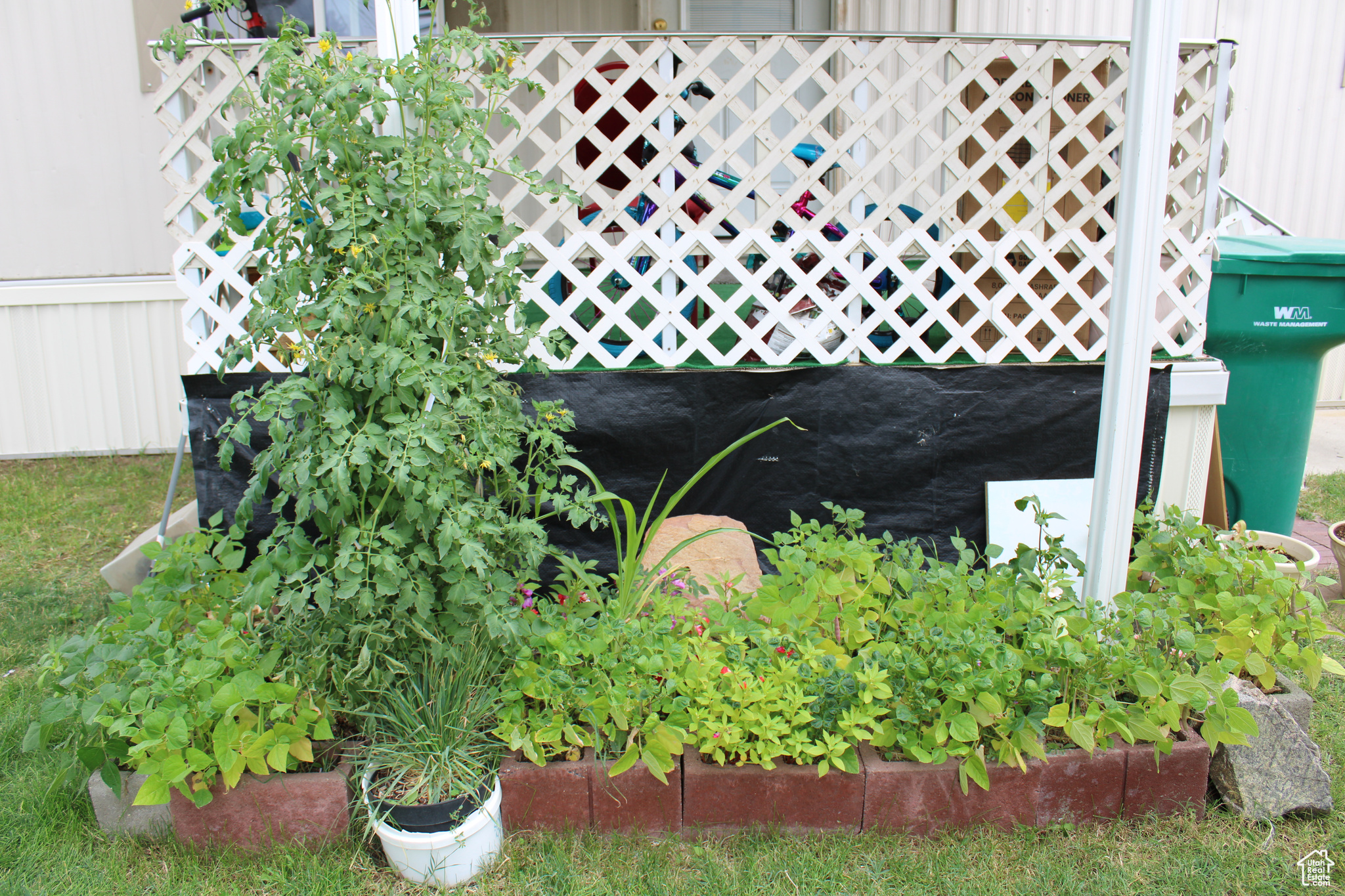 main property photo 8