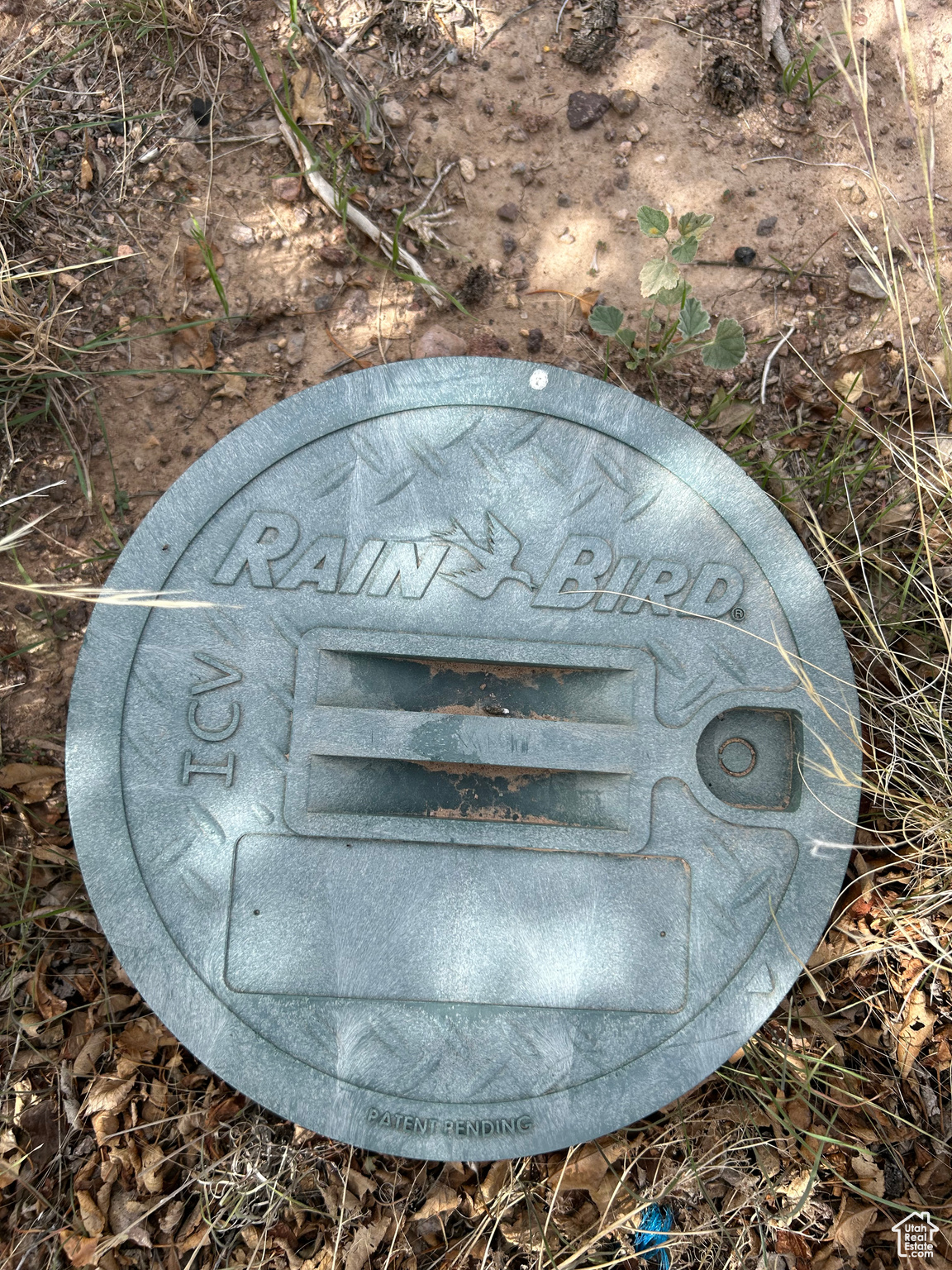 main property photo 6
